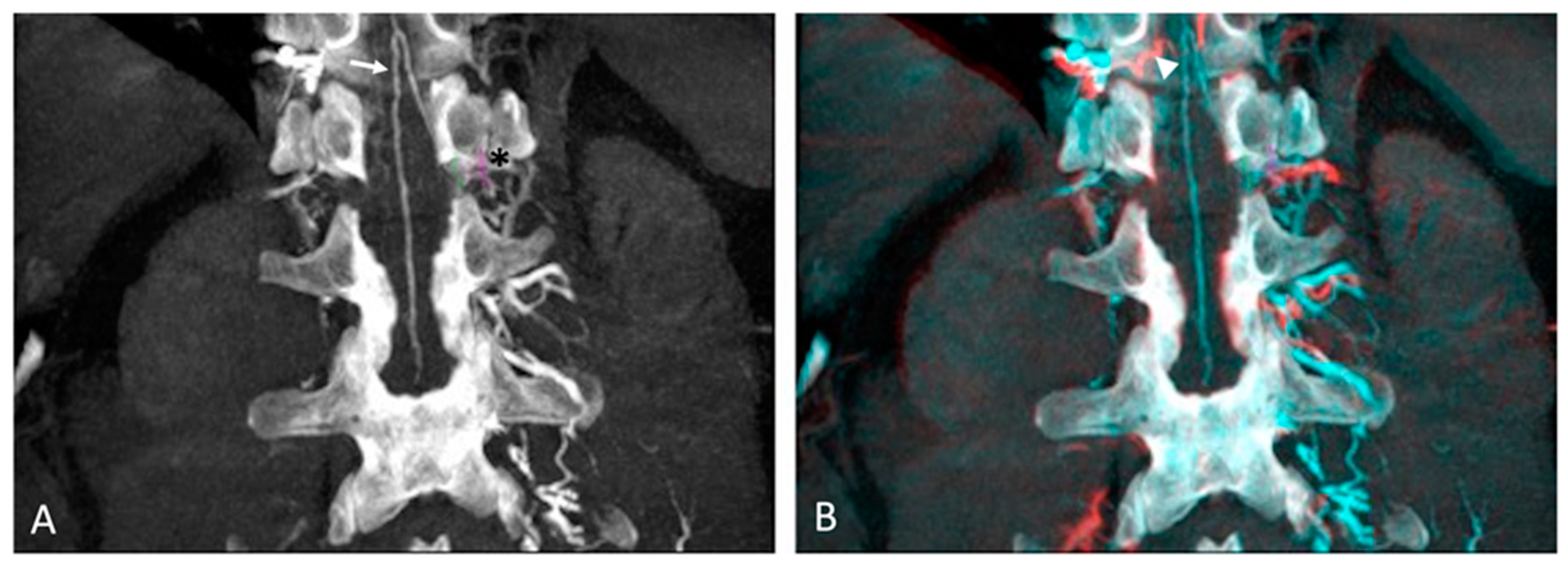 Jcm 13 00796 g001 Jcm 13 00796 g001
