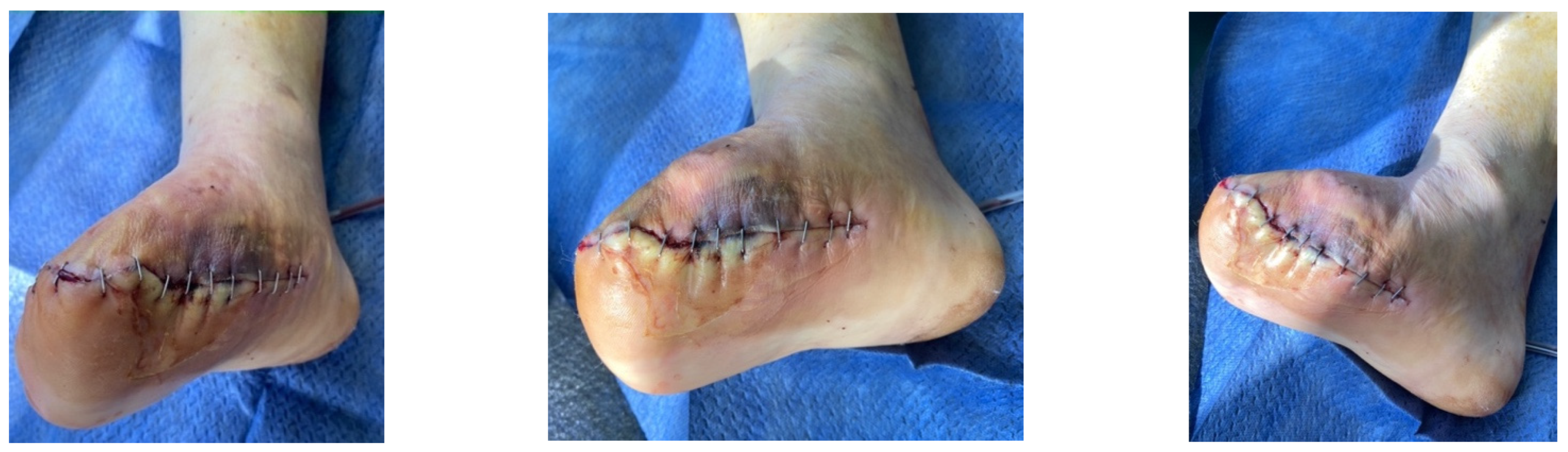 Jcm 13 00883 g010 Jcm 13 00883 g010