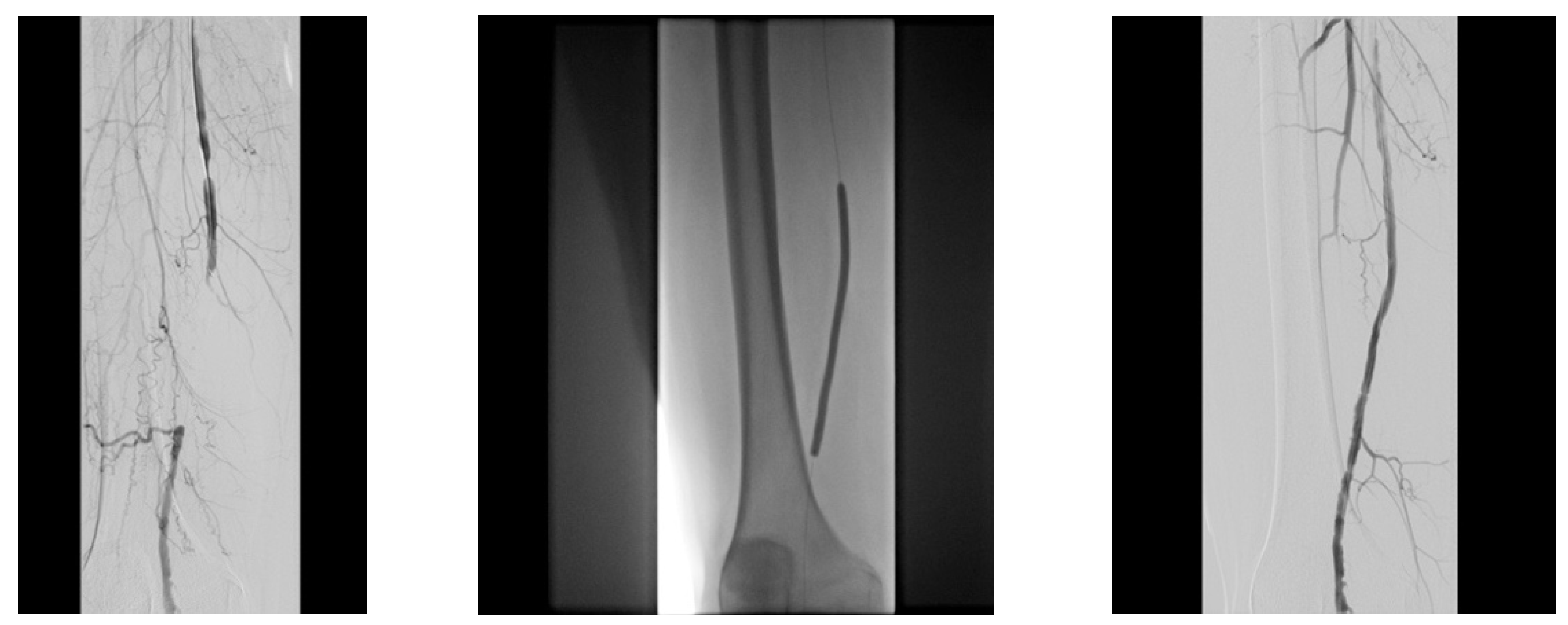 Jcm 13 00883 g013 Jcm 13 00883 g013