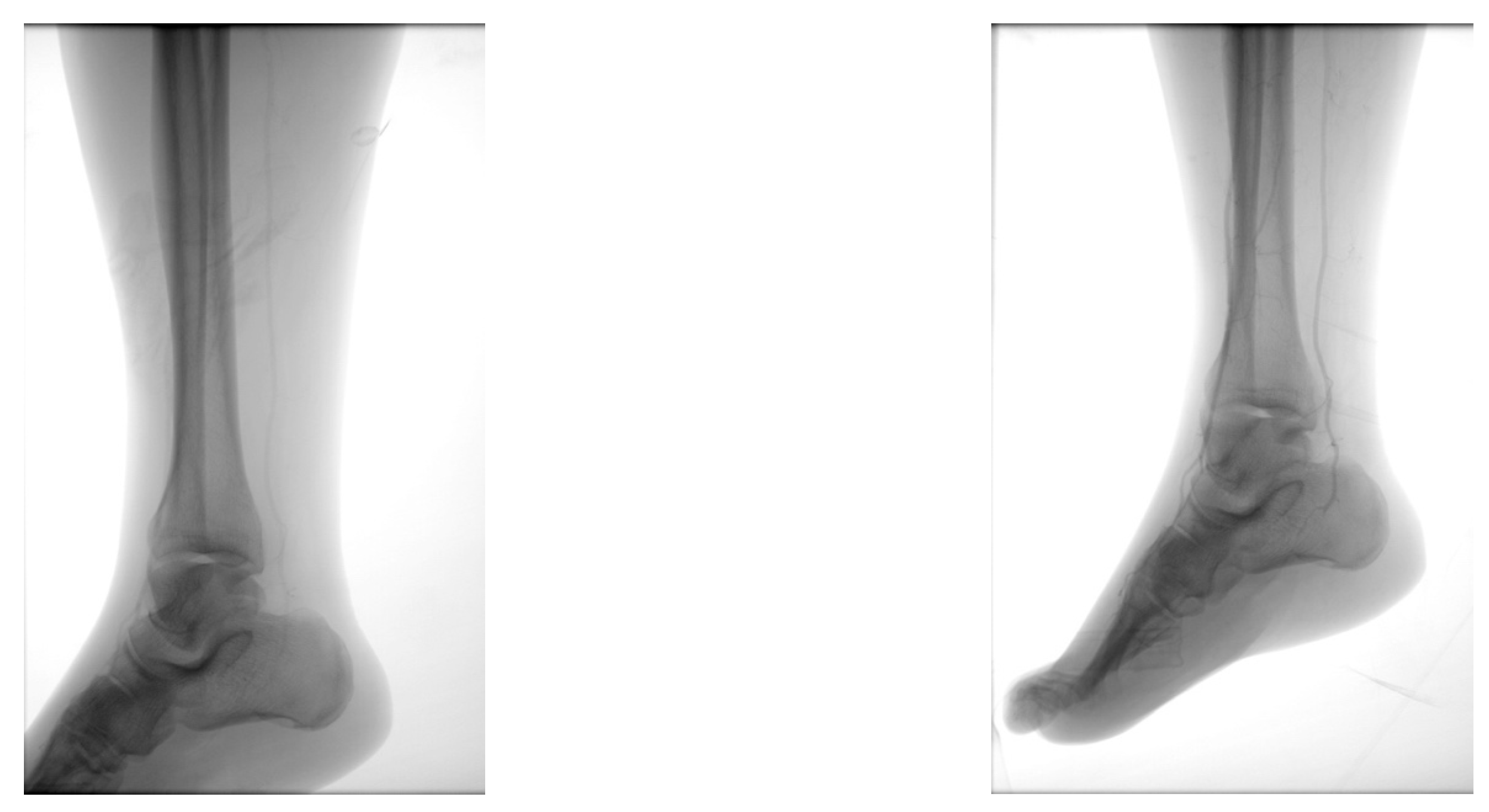 Jcm 13 00883 g014 Jcm 13 00883 g014