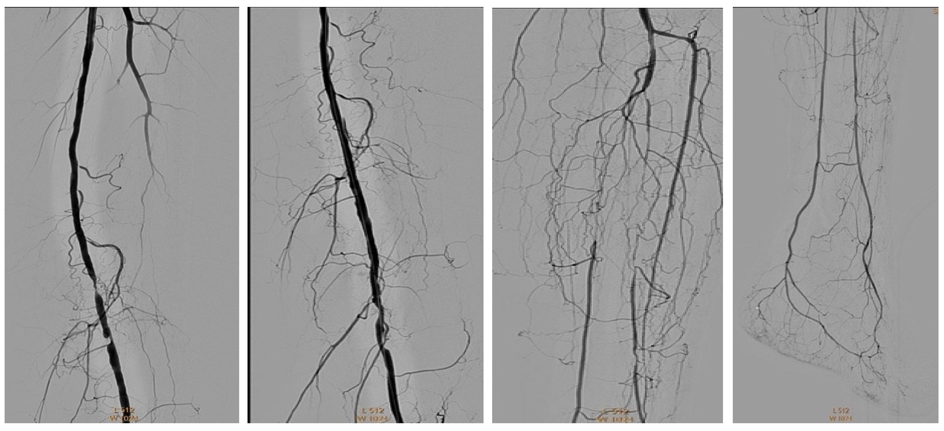 Jcm 13 00883 g021 Jcm 13 00883 g021