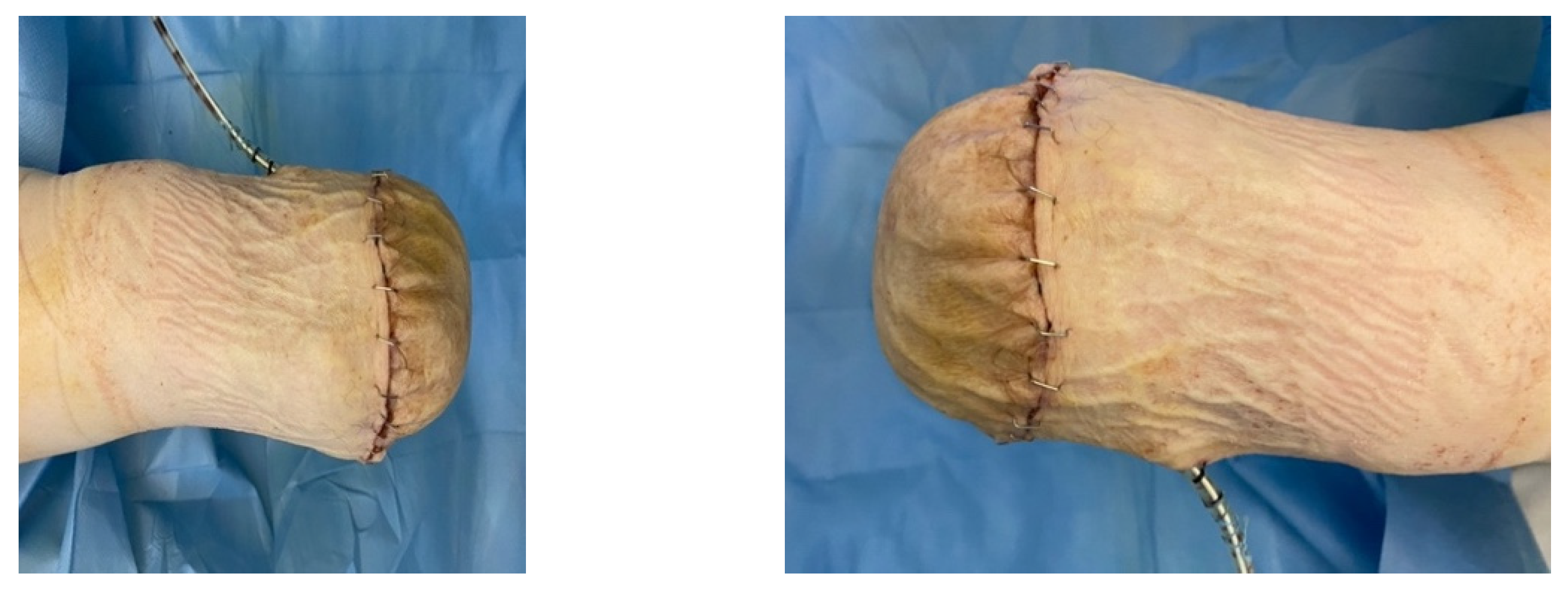 Jcm 13 00883 g022 Jcm 13 00883 g022