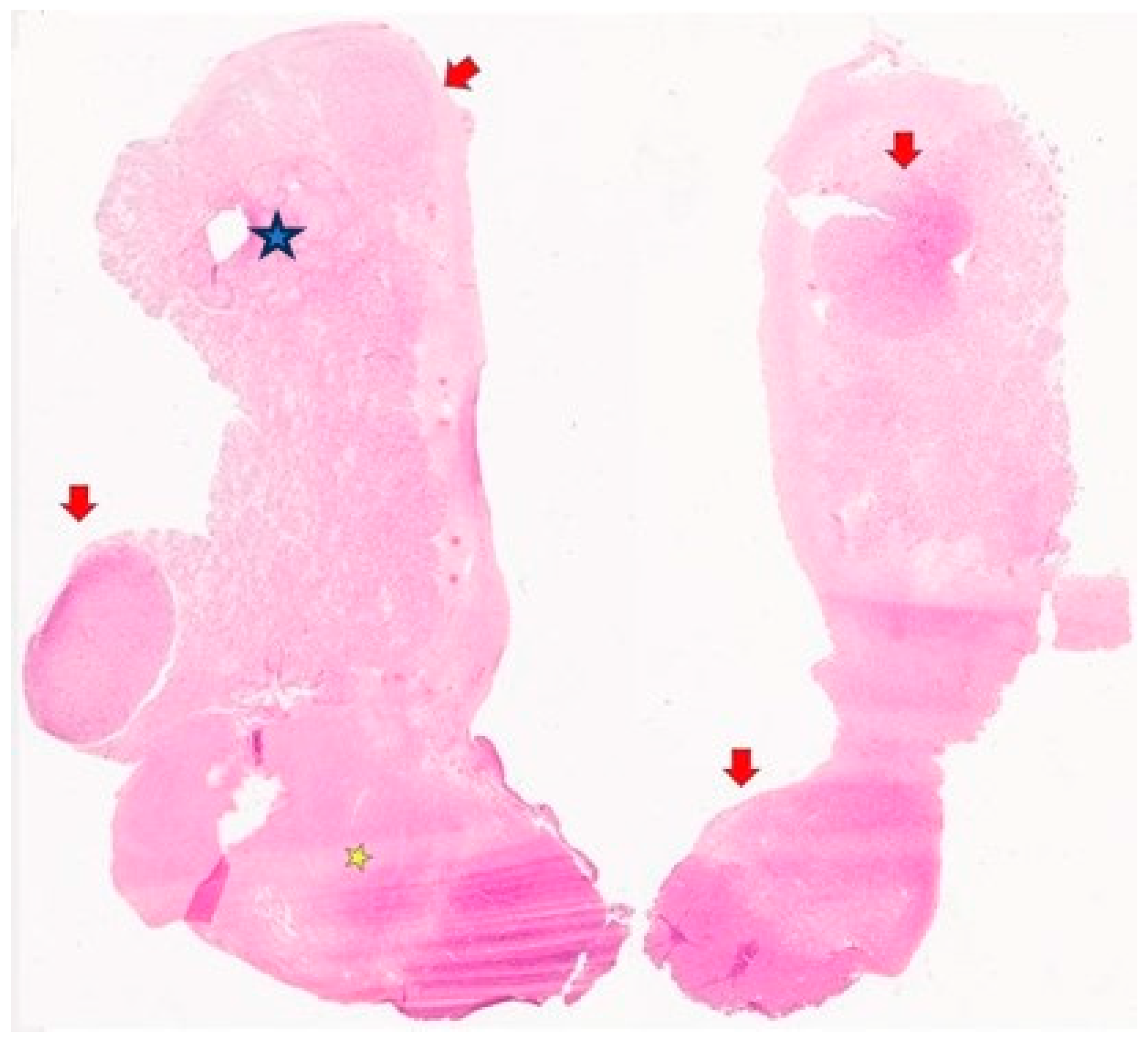 Jcm 13 00929 g002 Jcm 13 00929 g002