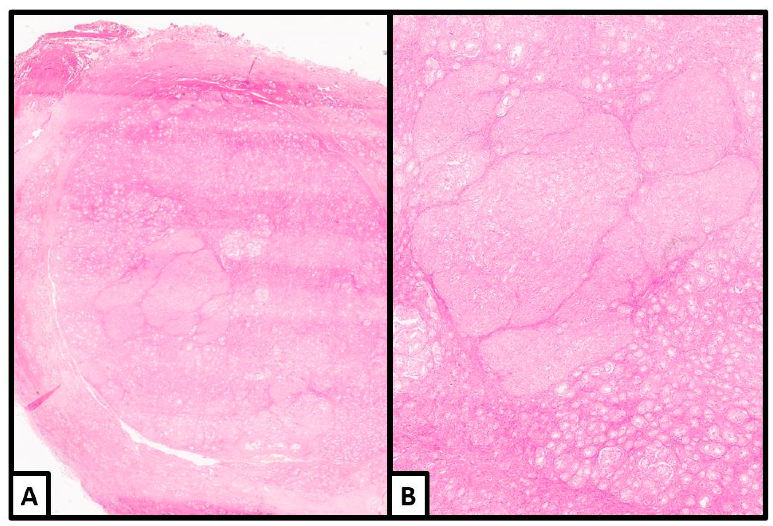 Jcm 13 00929 g004 Jcm 13 00929 g004