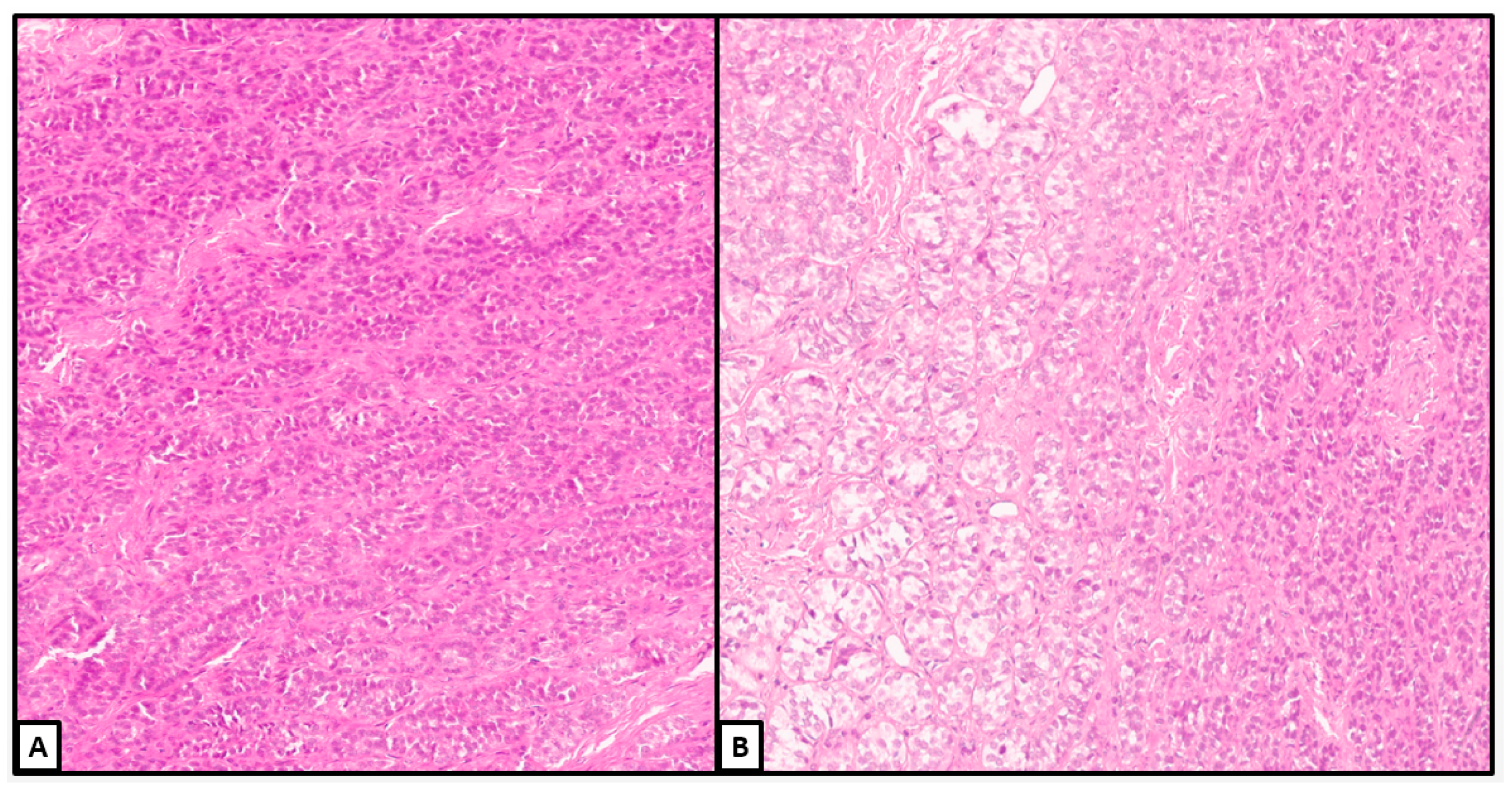 Jcm 13 00929 g006 Jcm 13 00929 g006