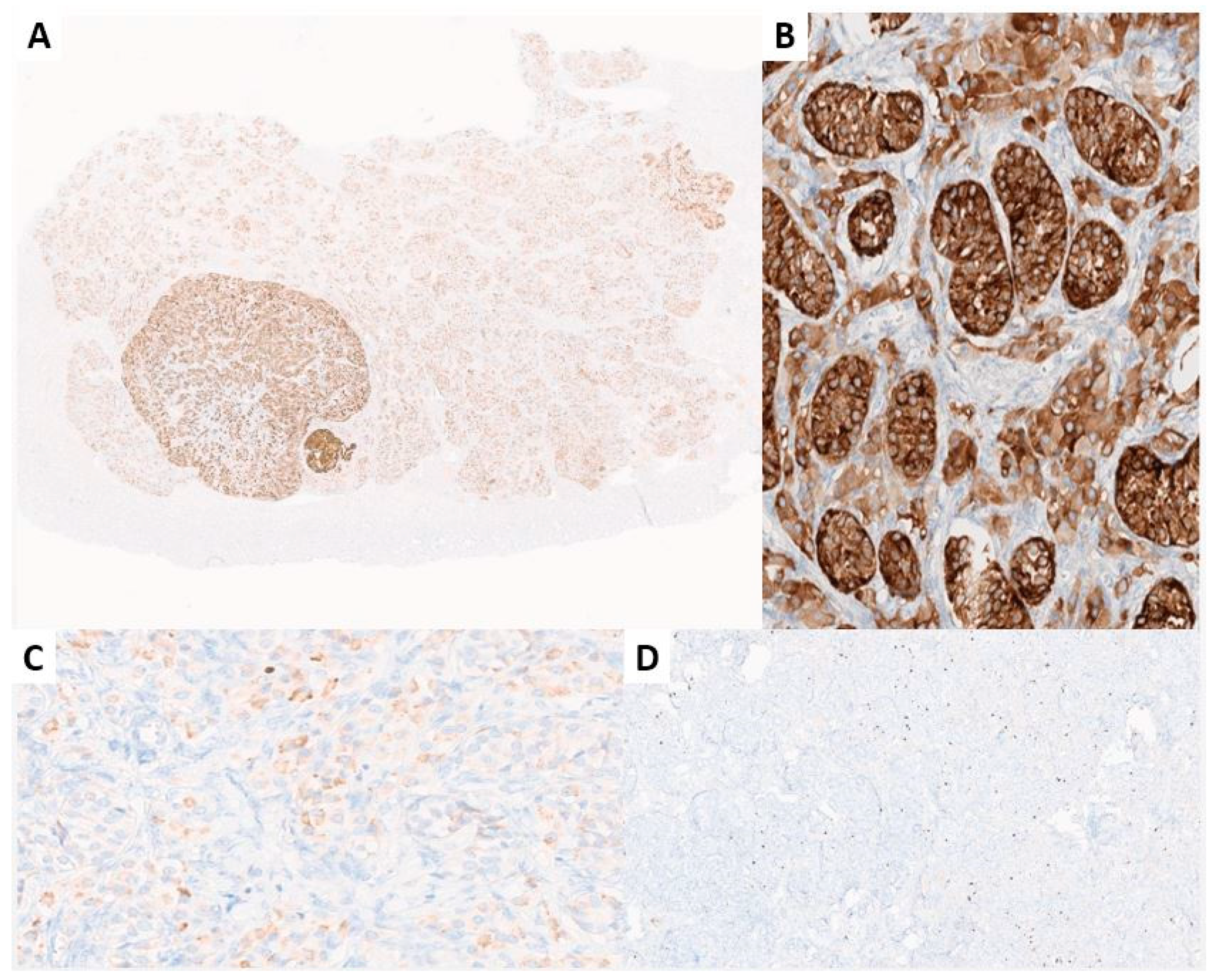 Jcm 13 00929 g008 Jcm 13 00929 g008