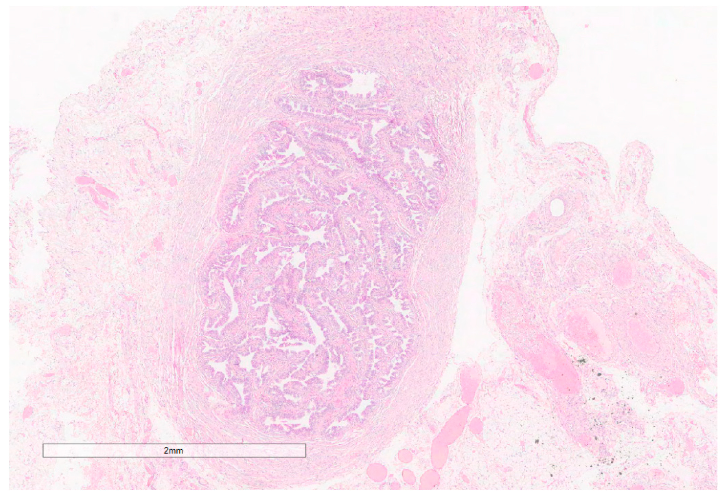 Jcm 13 00929 g010 Jcm 13 00929 g010