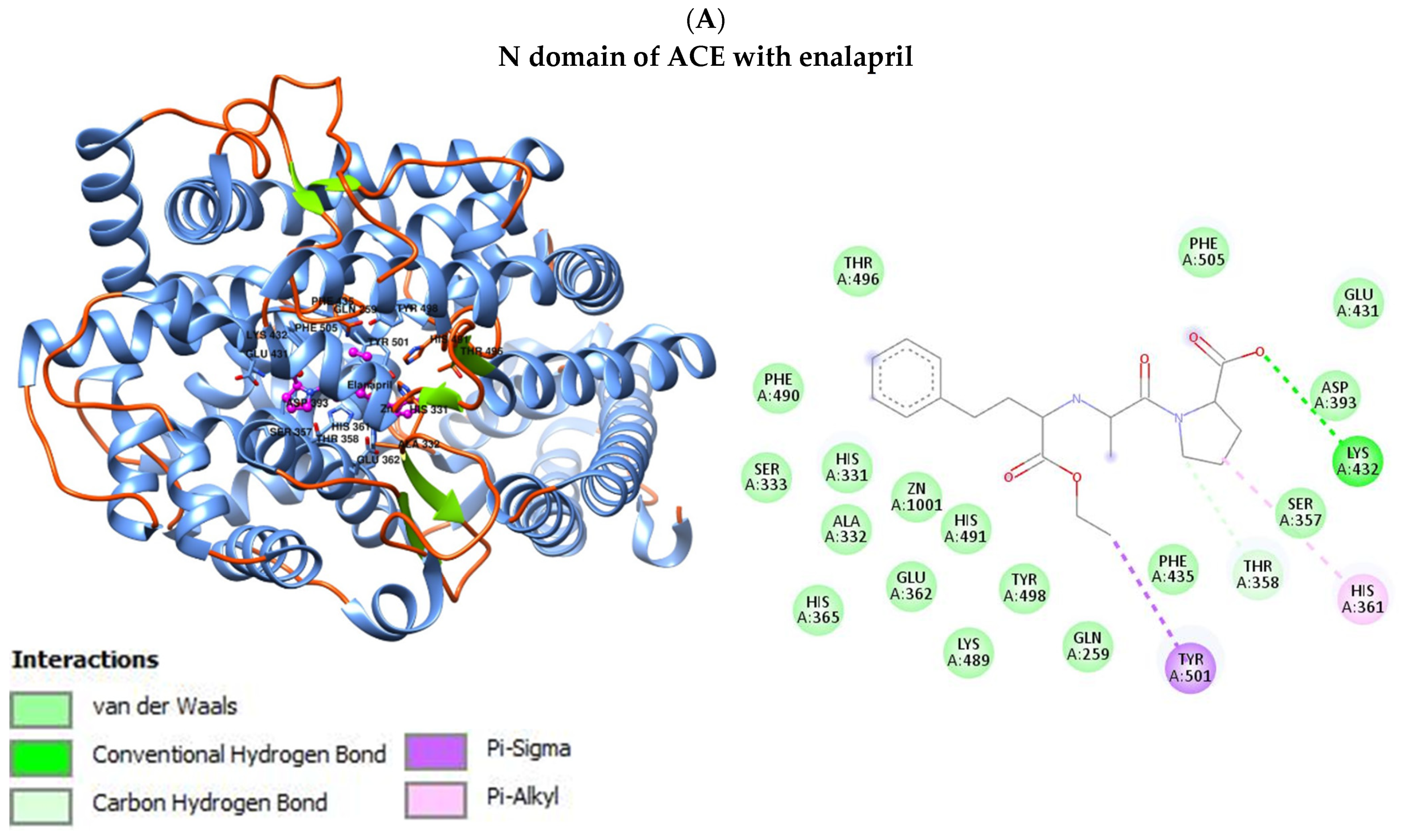 Jcm 13 00995 g001a Jcm 13 00995 g001a