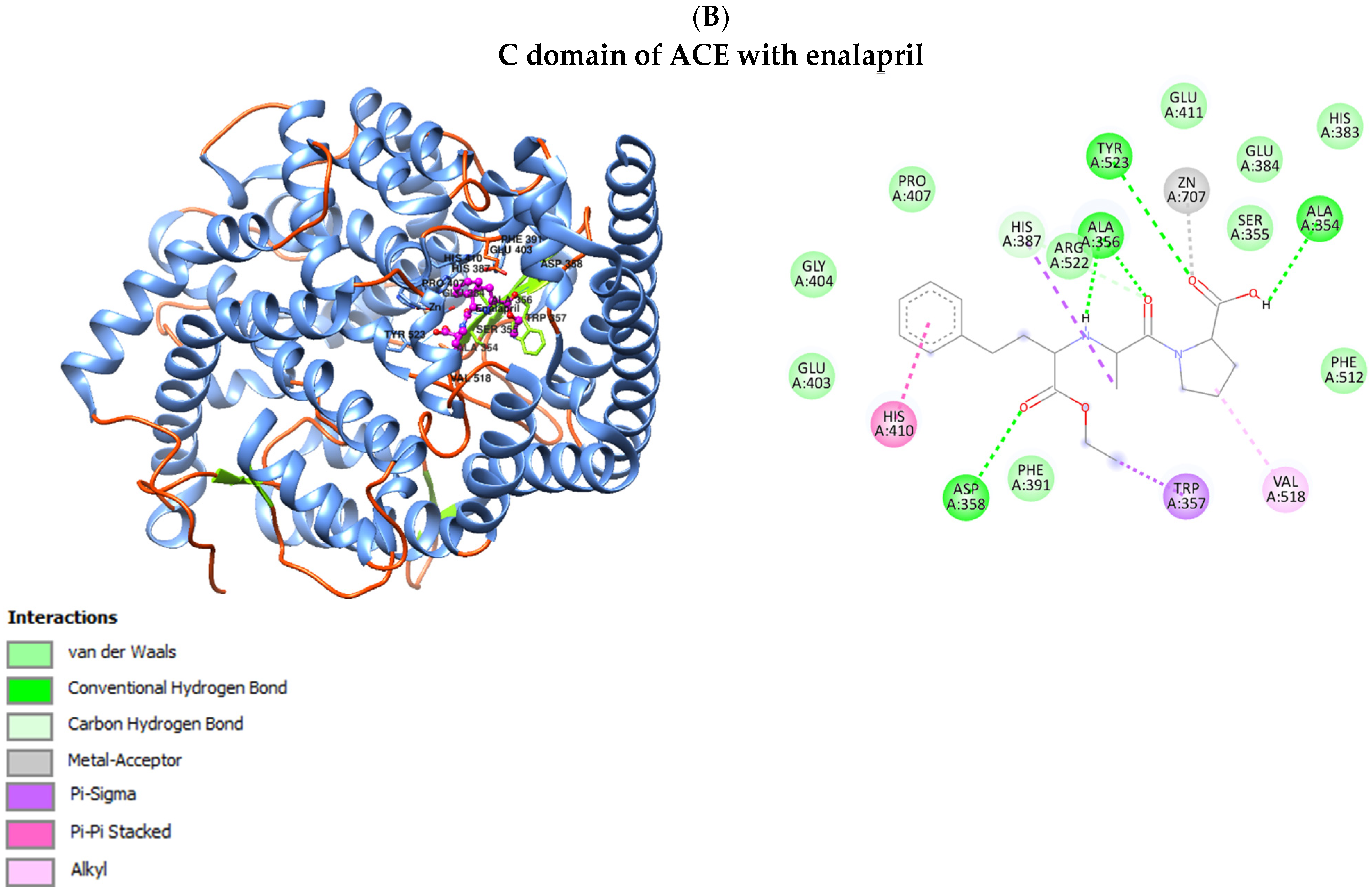 Jcm 13 00995 g001b Jcm 13 00995 g001b