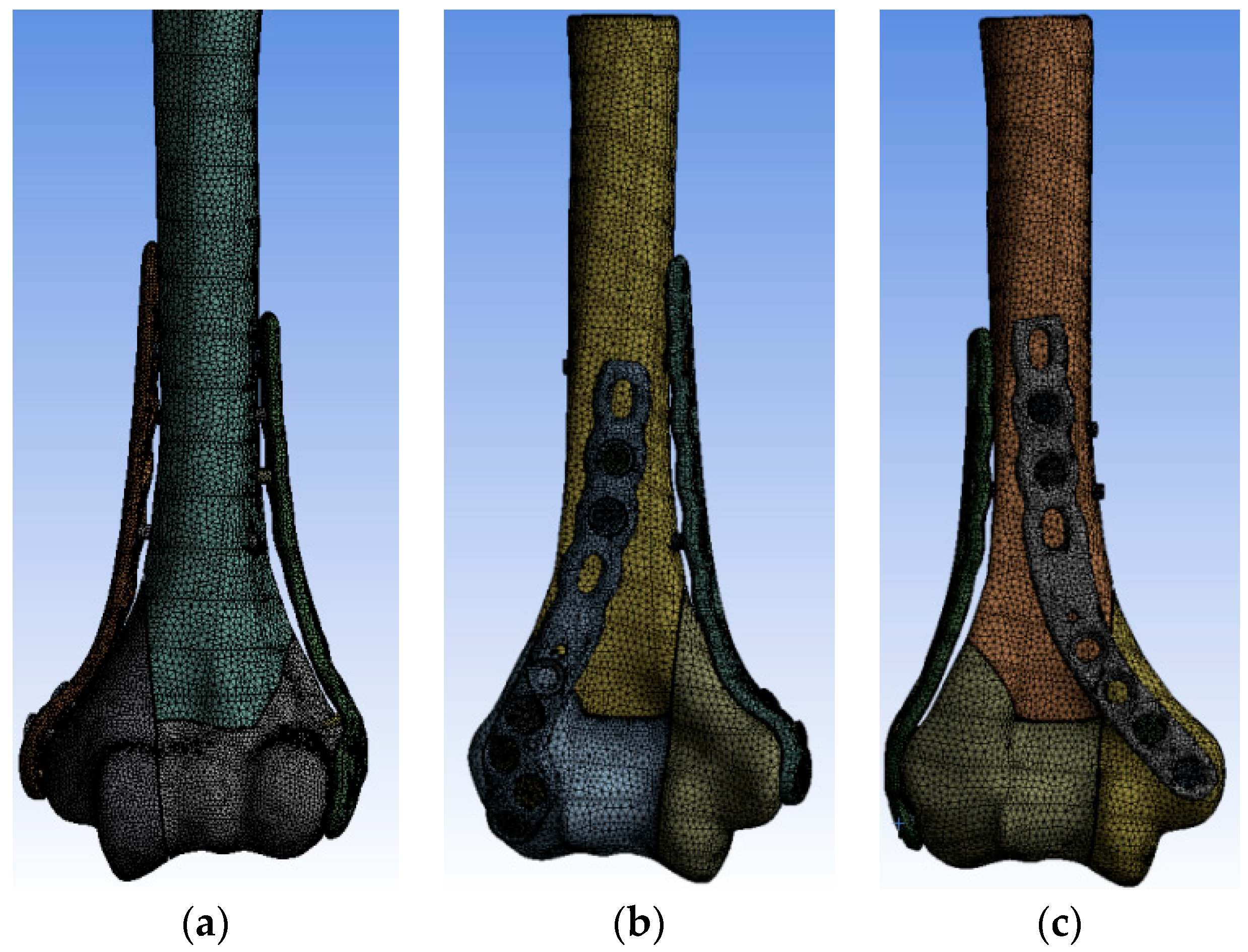 Jcm 13 01034 g004 Jcm 13 01034 g004