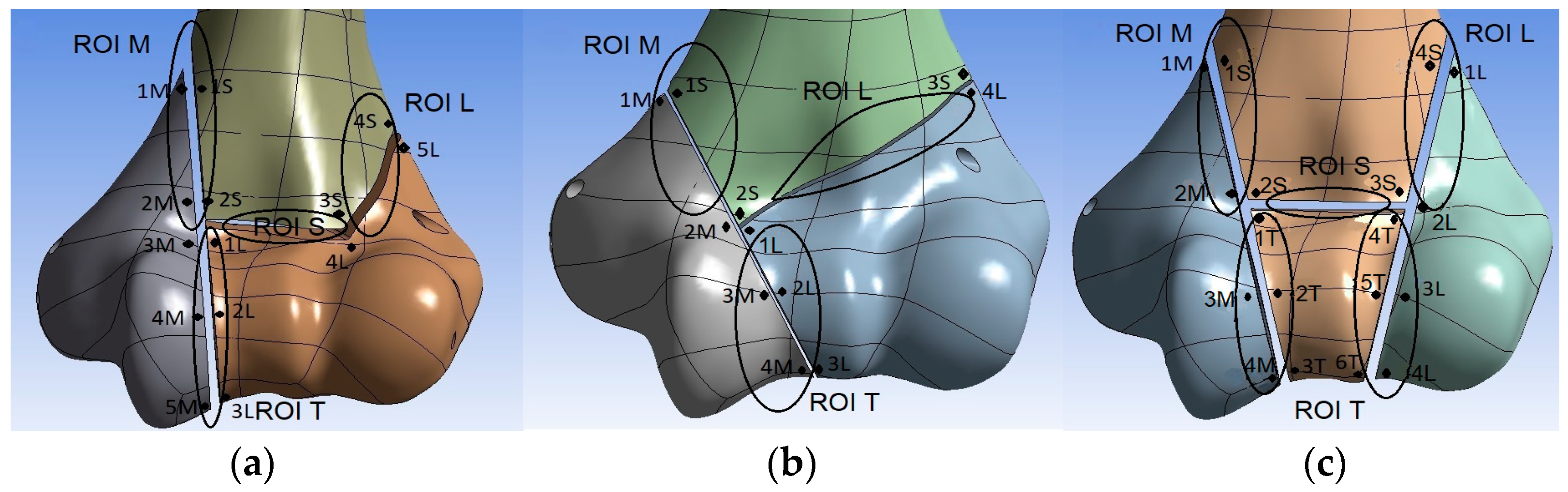 Jcm 13 01034 g005 Jcm 13 01034 g005