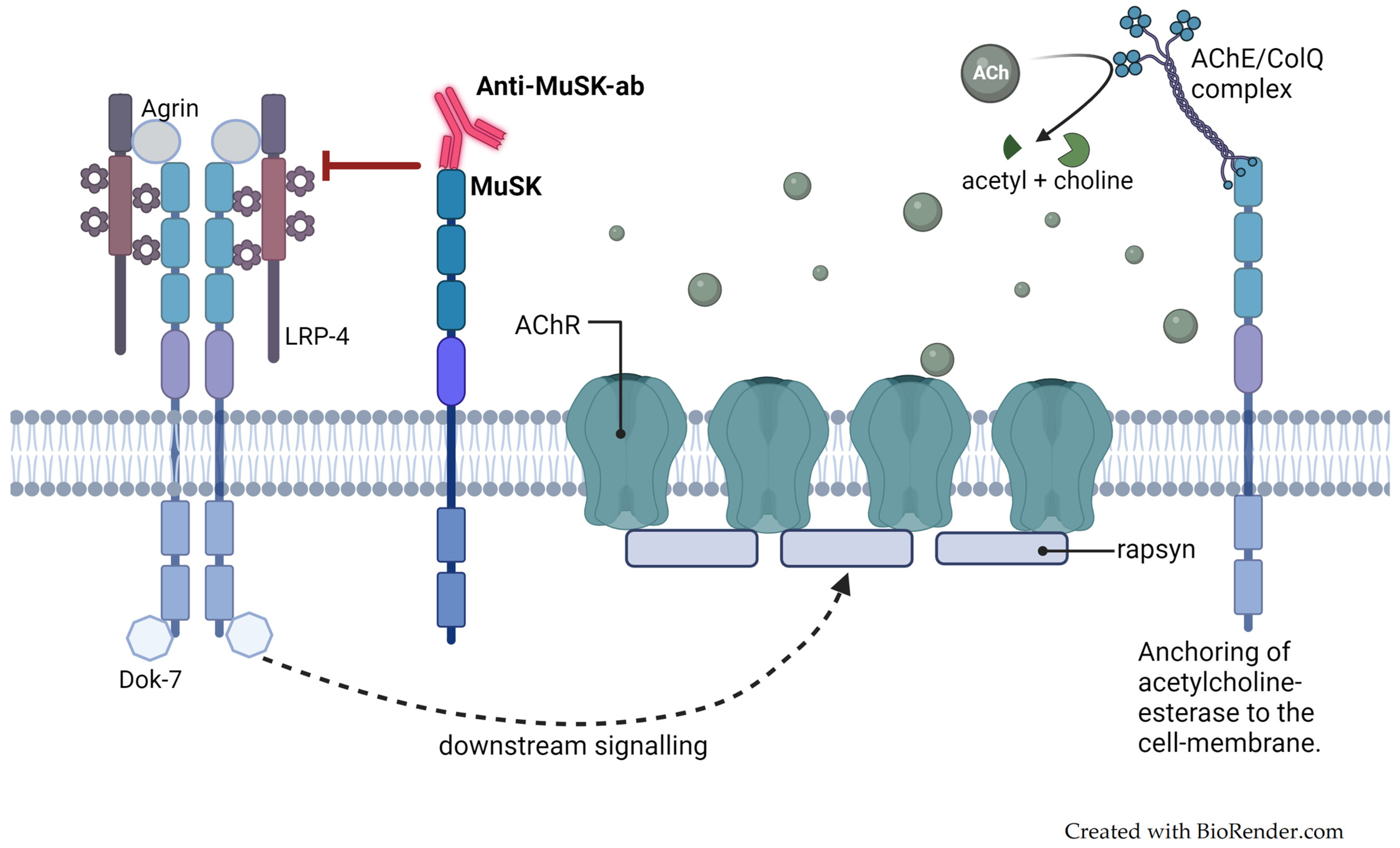 Jcm 13 01136 g002 Jcm 13 01136 g002