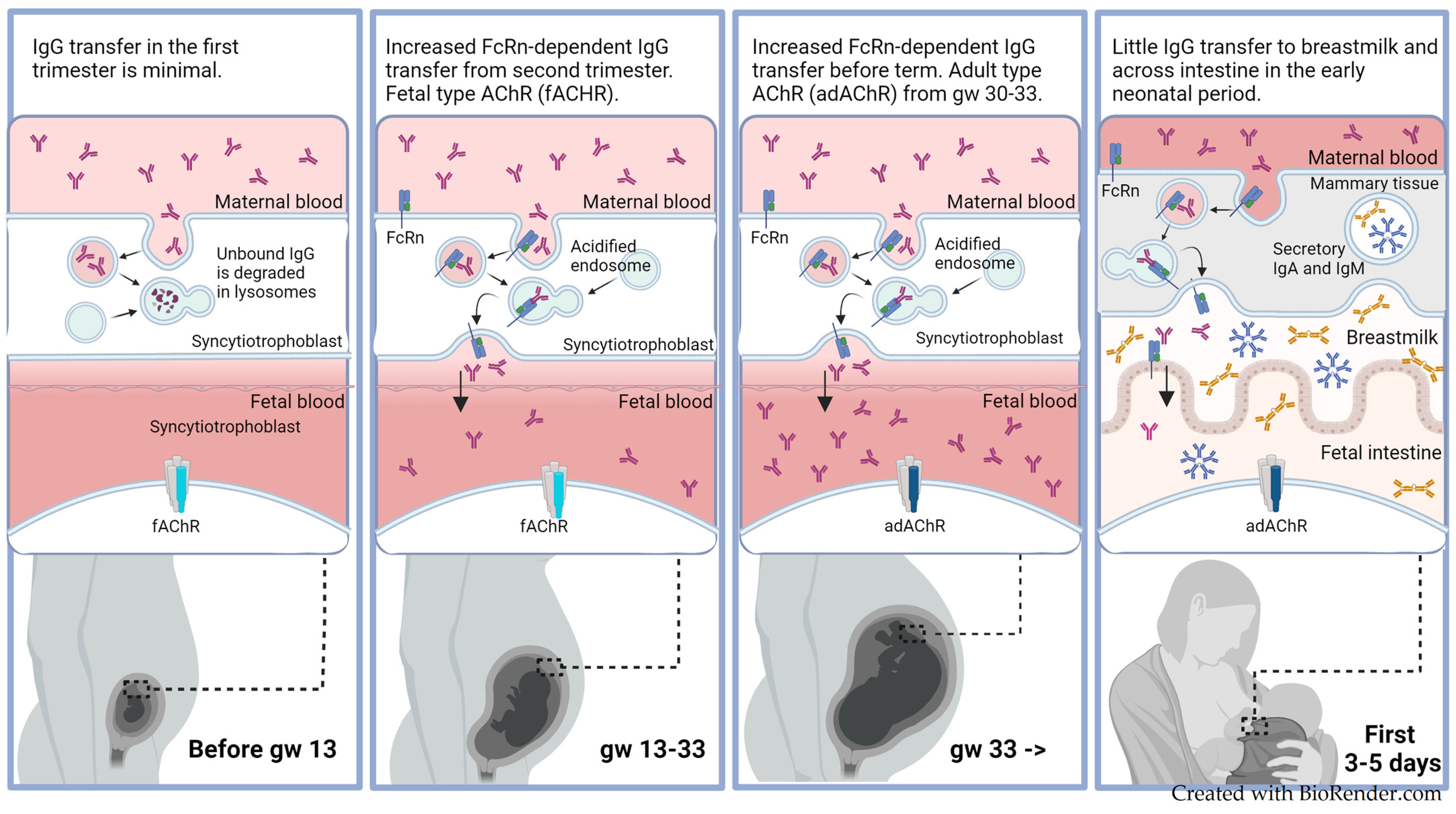 Jcm 13 01136 g003 Jcm 13 01136 g003