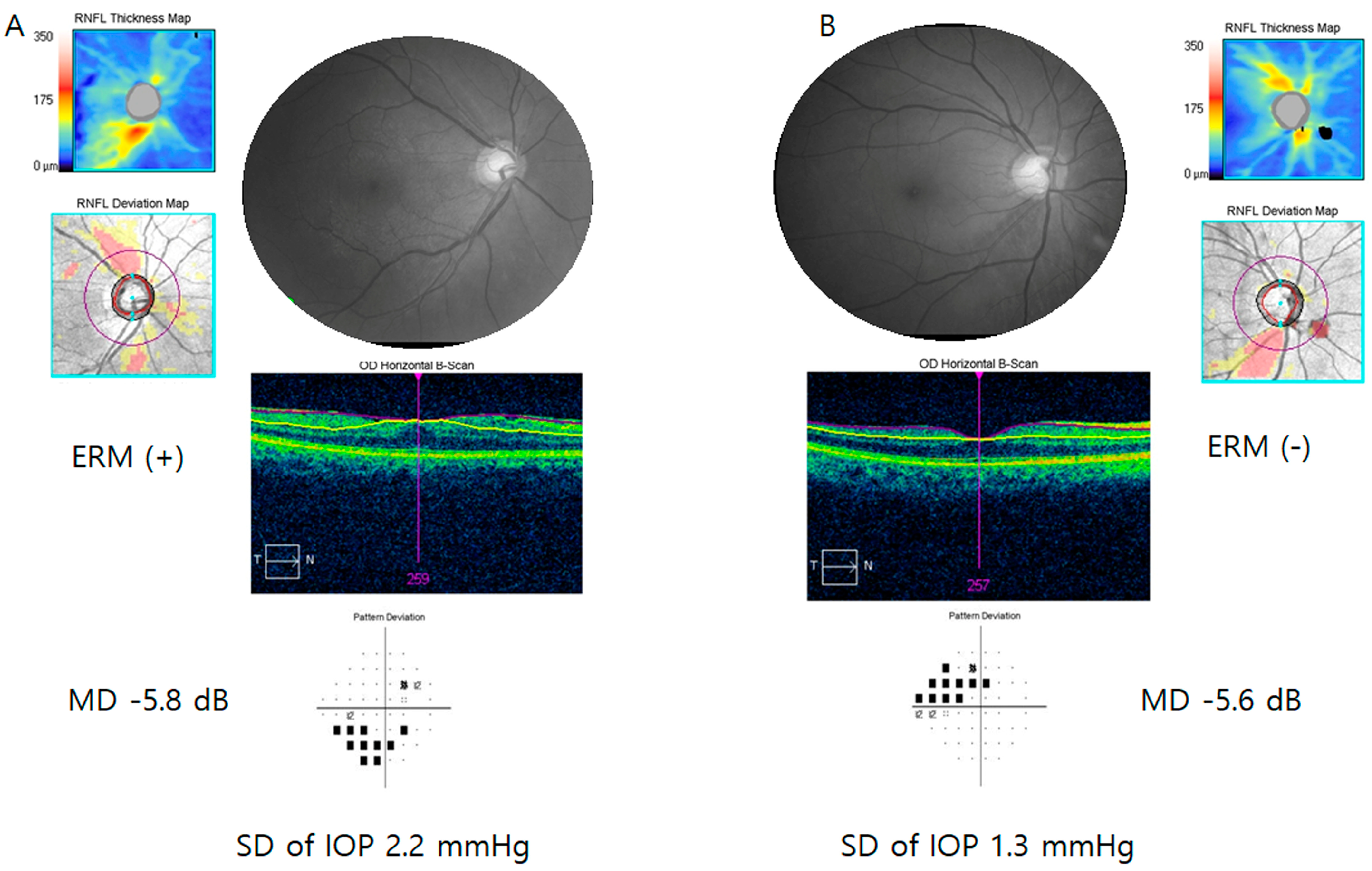 Jcm 13 01138 g001 Jcm 13 01138 g001