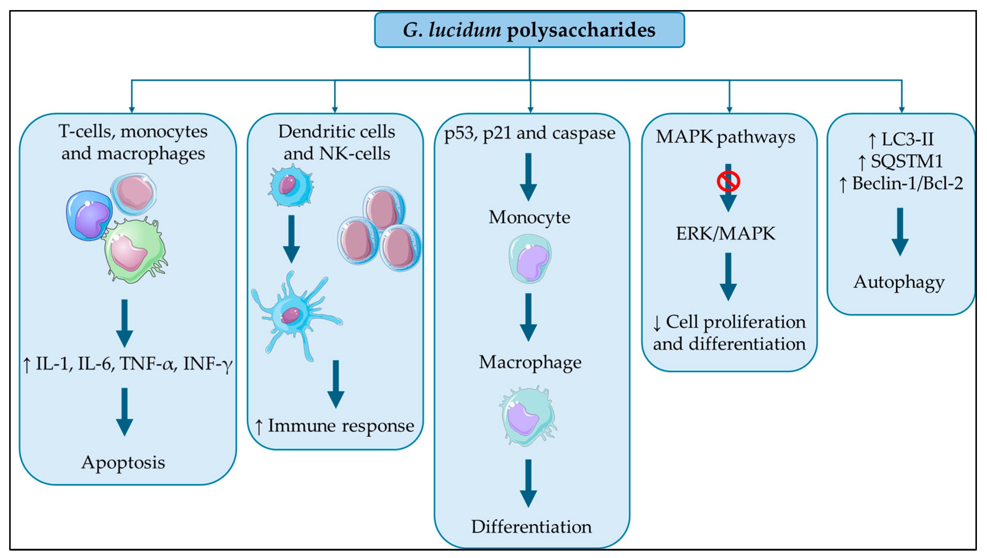 Jcm 13 01153 g001 Jcm 13 01153 g001