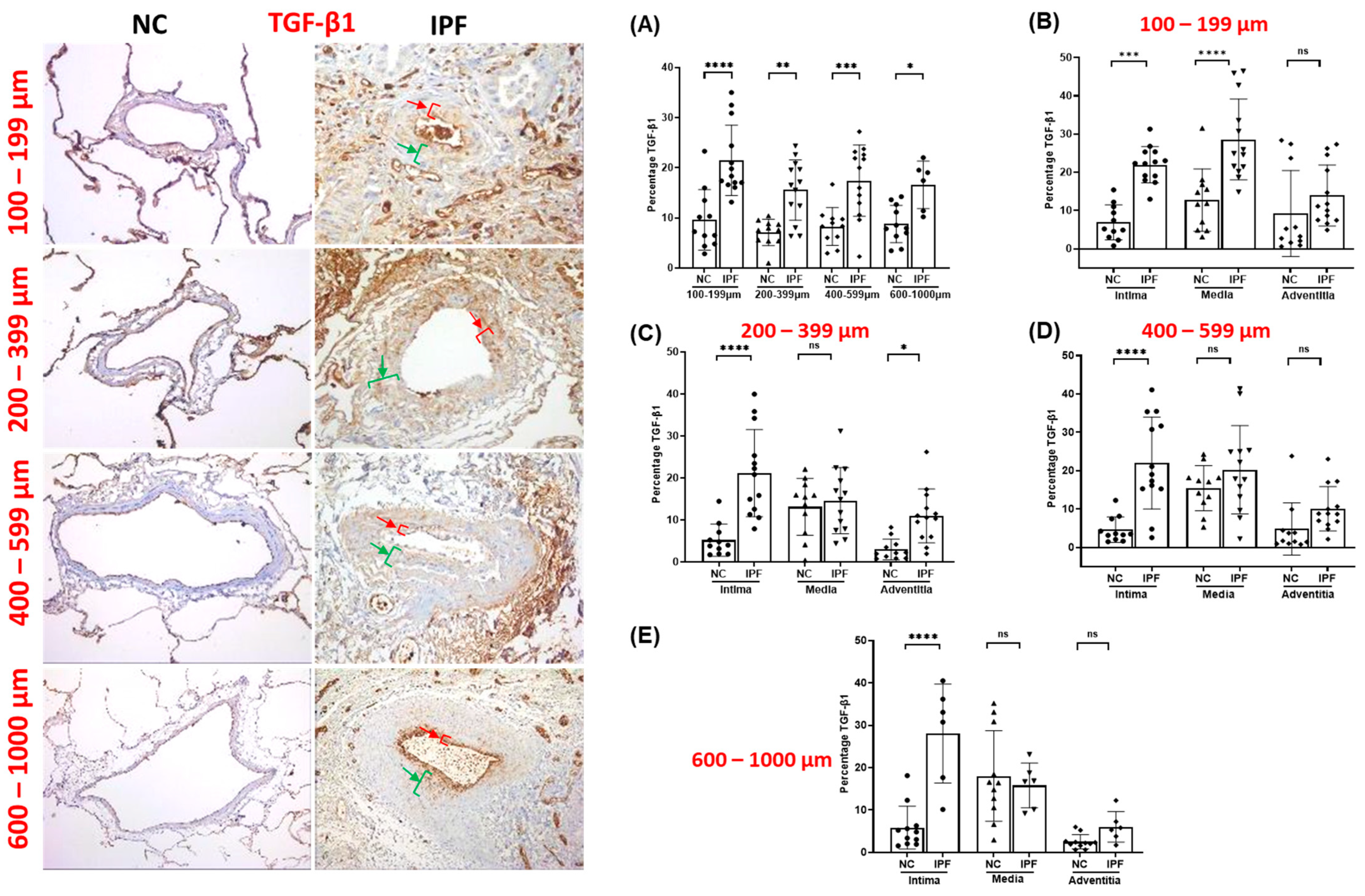 Jcm 13 01160 g001 Jcm 13 01160 g001