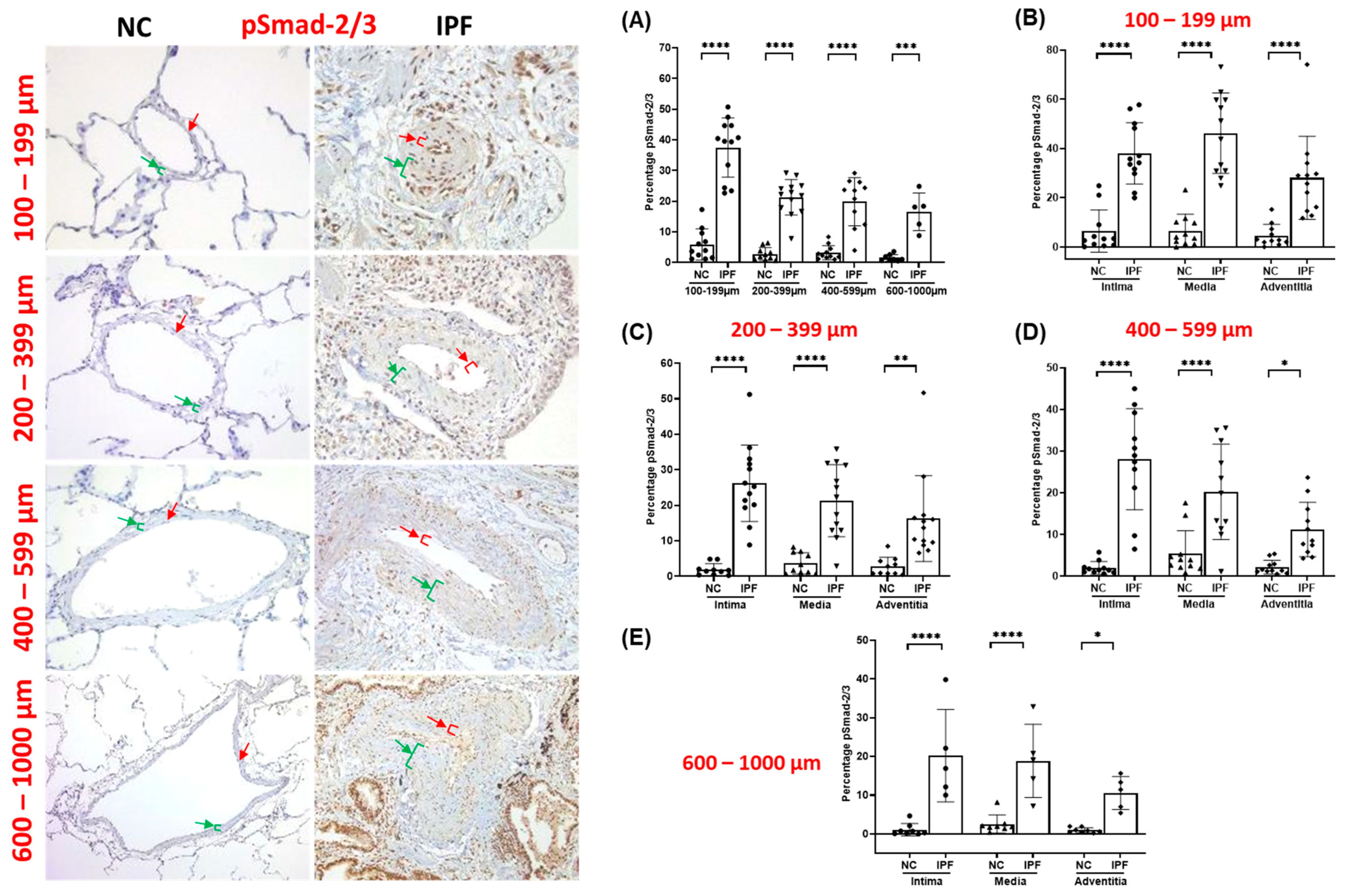 Jcm 13 01160 g002 Jcm 13 01160 g002