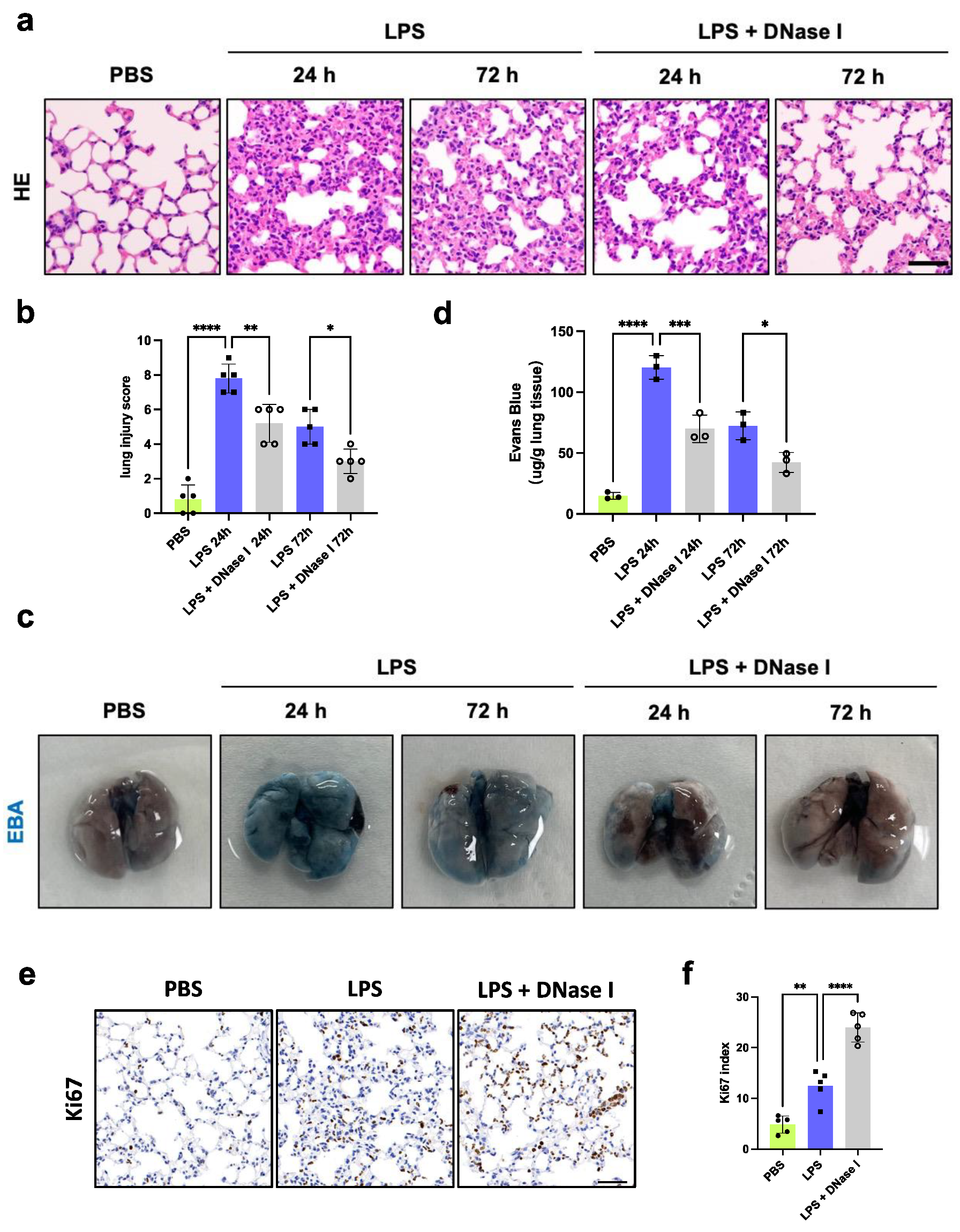 Jcm 13 01204 g002a Jcm 13 01204 g002a