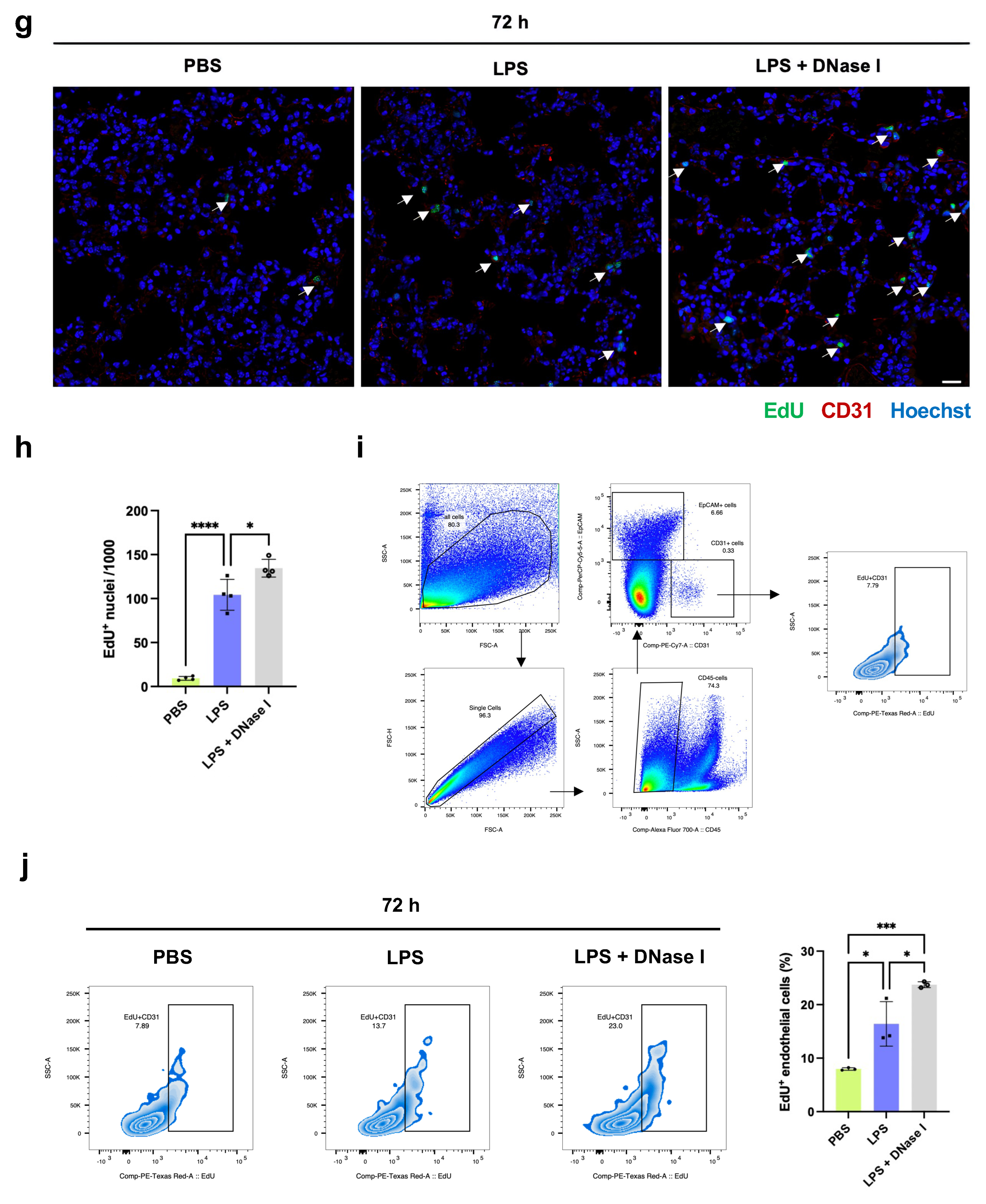 Jcm 13 01204 g002b Jcm 13 01204 g002b