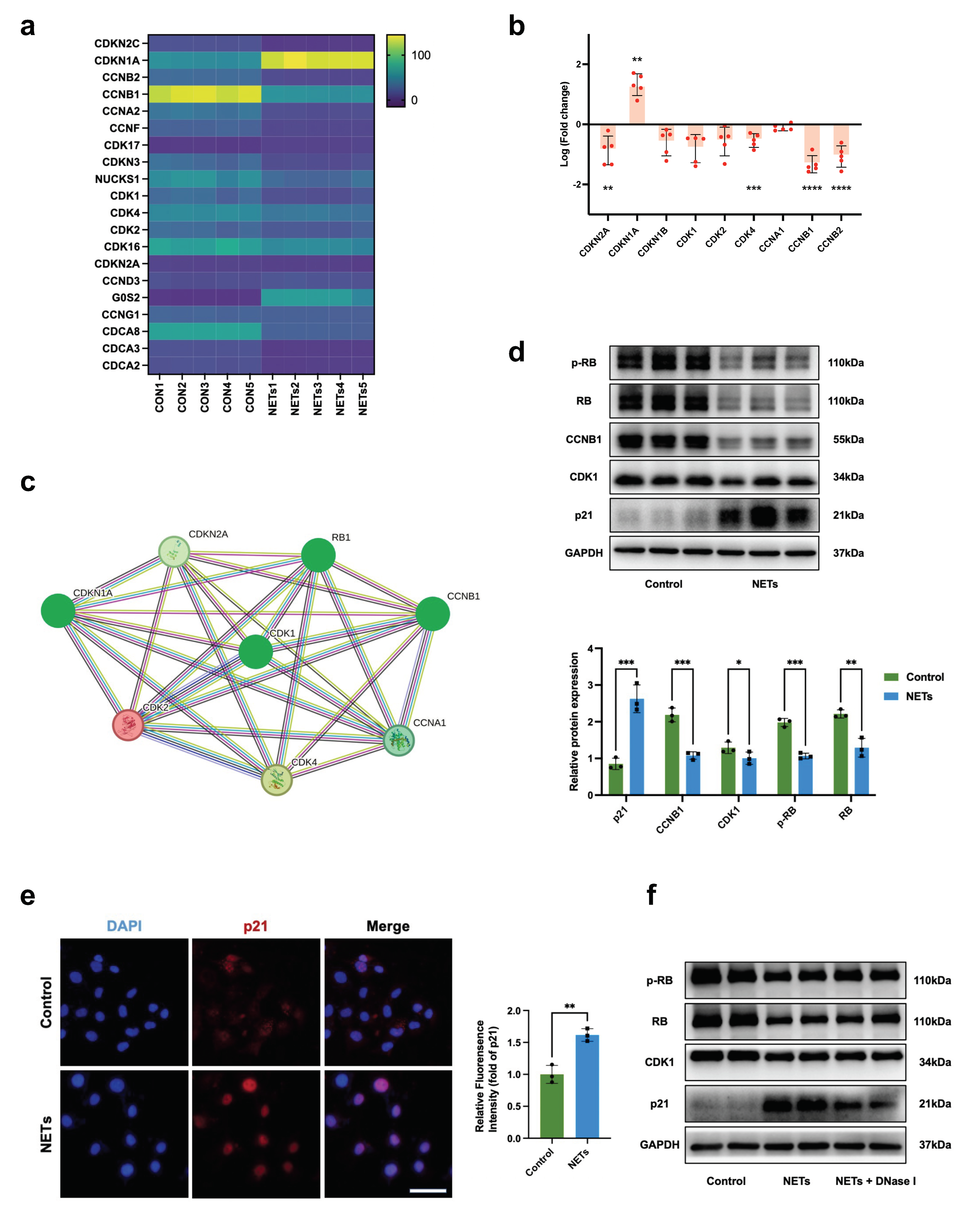 Jcm 13 01204 g004 Jcm 13 01204 g004
