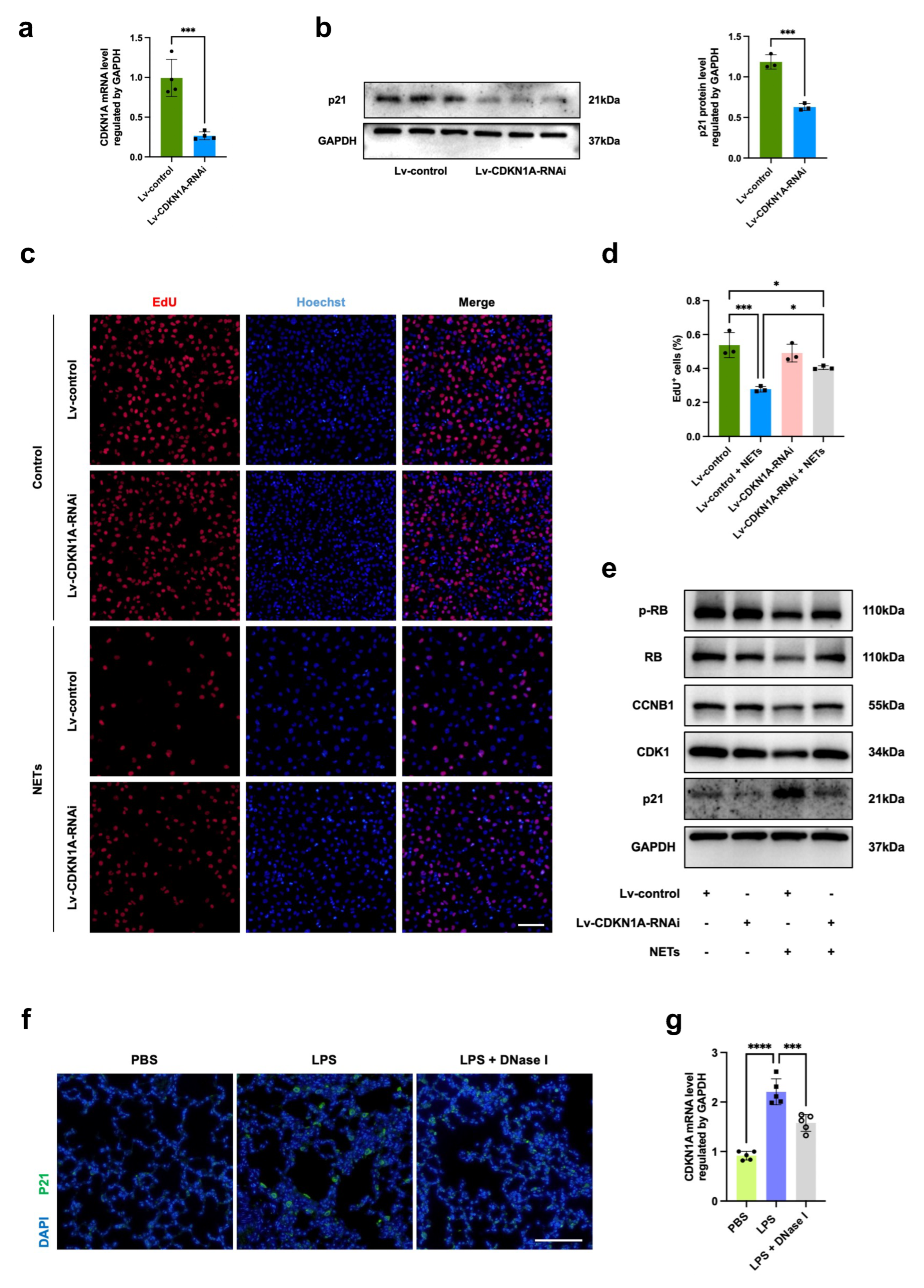 Jcm 13 01204 g005 Jcm 13 01204 g005