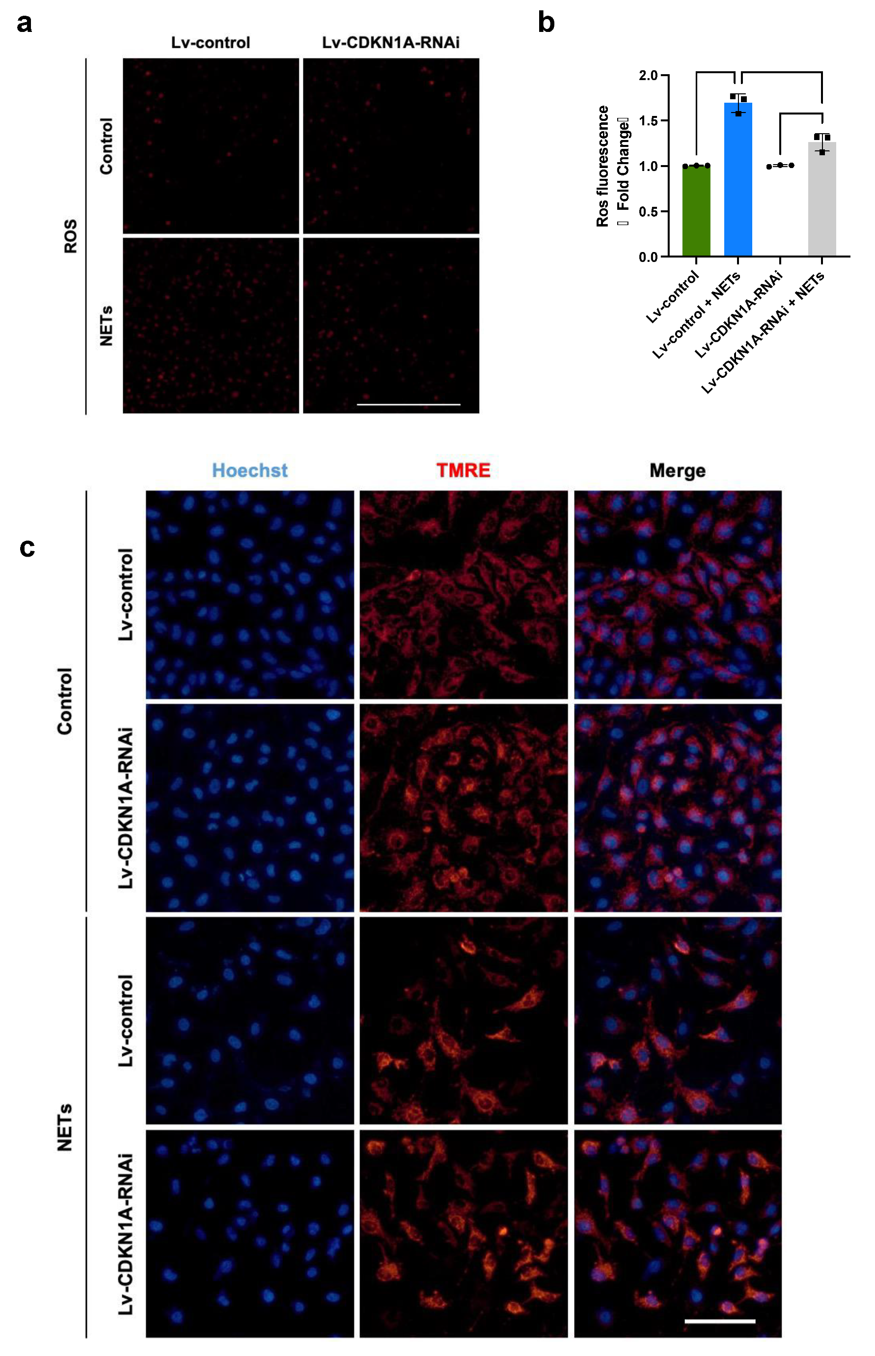 Jcm 13 01204 g006 Jcm 13 01204 g006