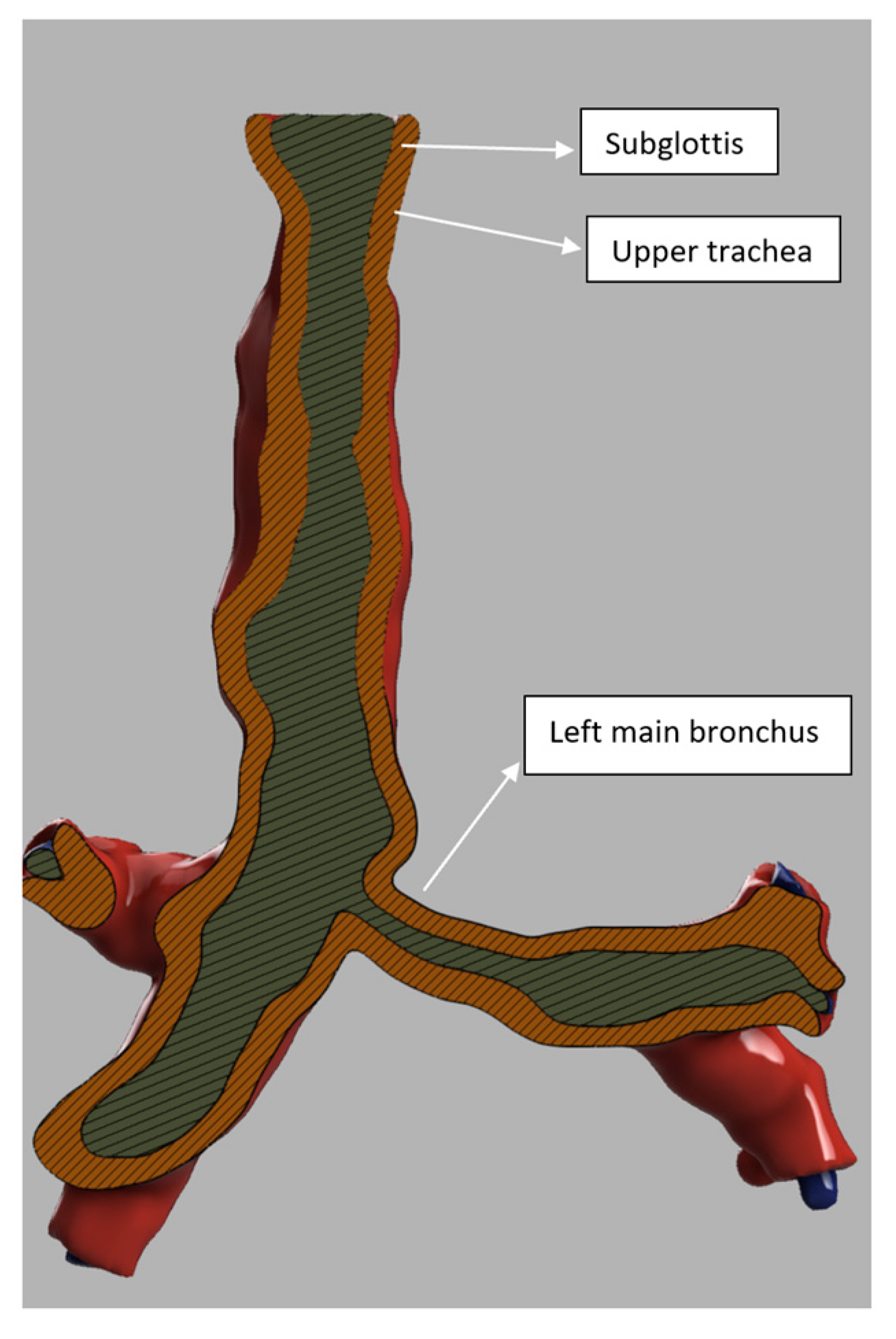 Jcm 13 01366 g005 Jcm 13 01366 g005