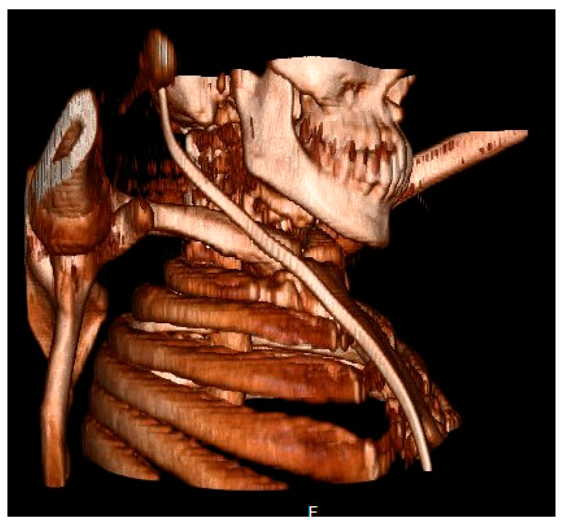 Jcm 13 01366 g010 Jcm 13 01366 g010