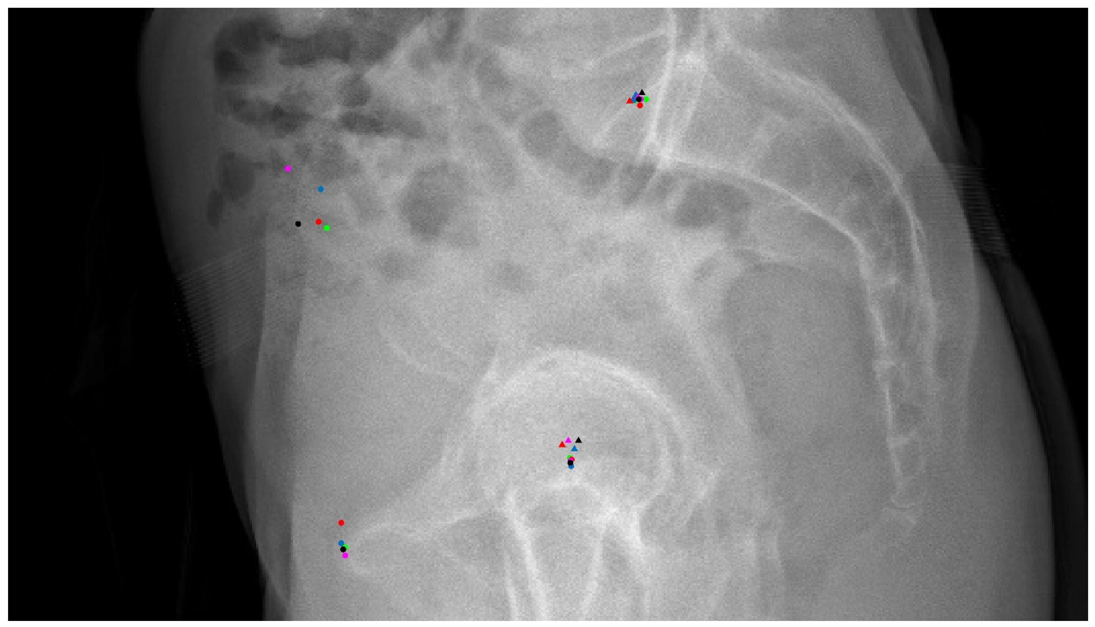 Jcm 13 01394 g002 Jcm 13 01394 g002