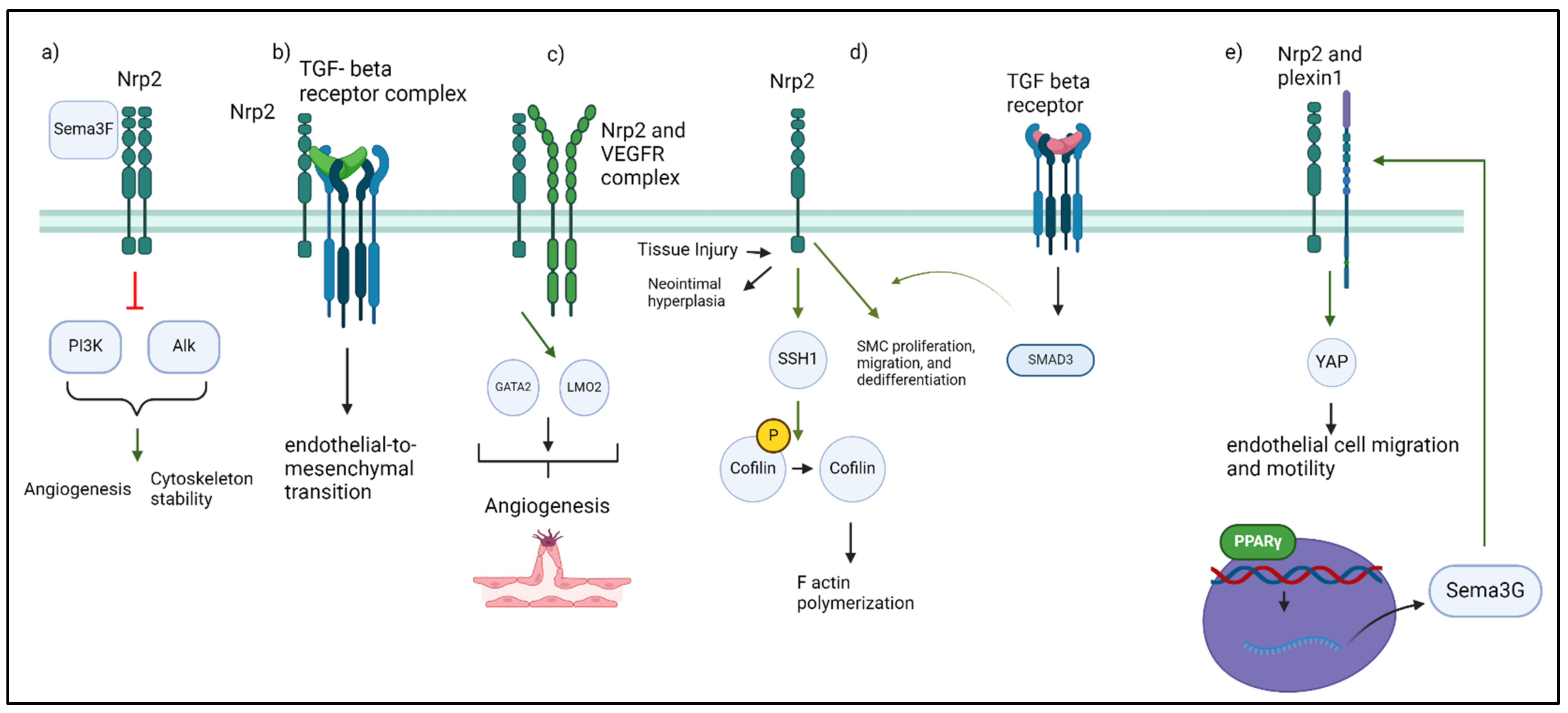 Jcm 13 01446 g001 Jcm 13 01446 g001