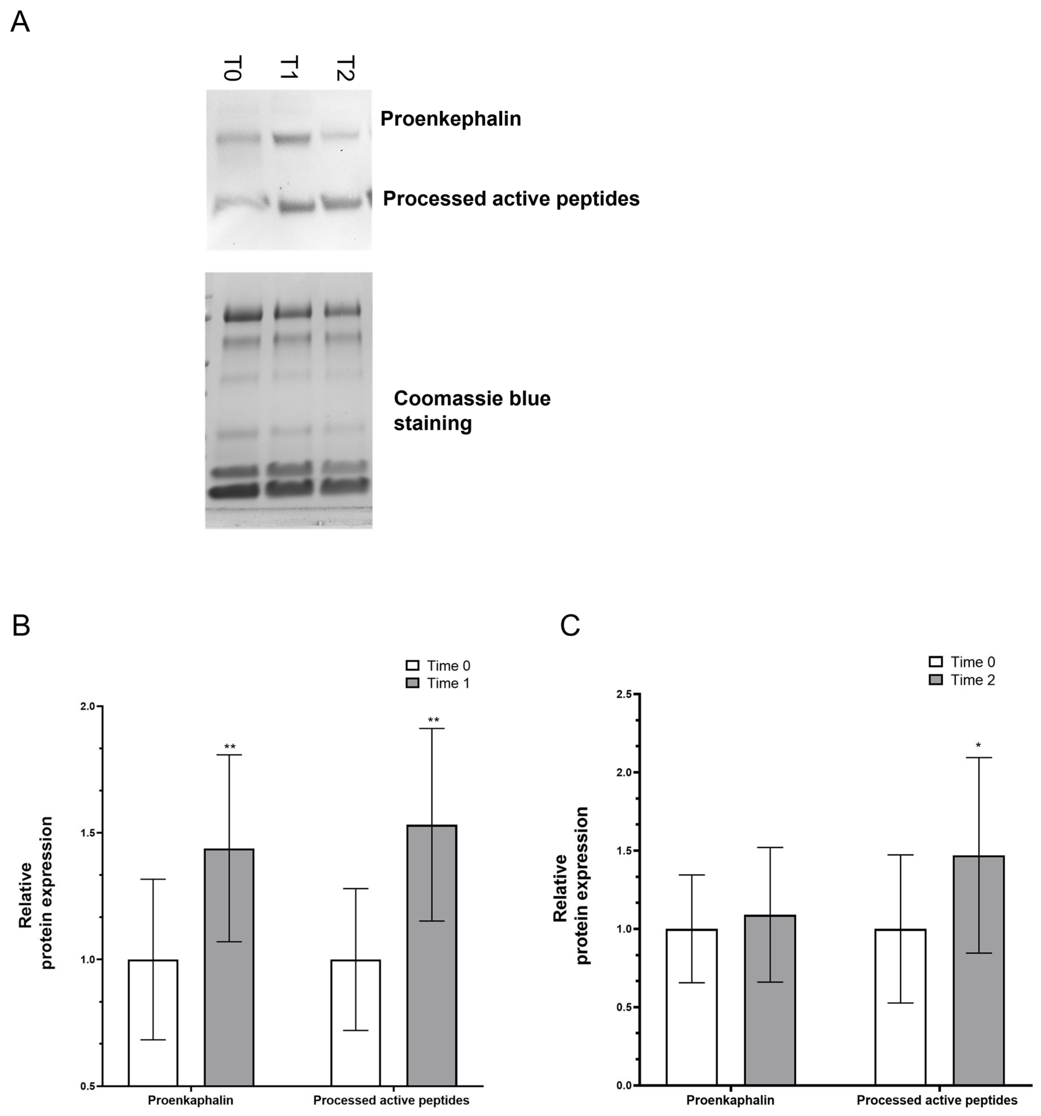 Jcm 13 01447 g003 Jcm 13 01447 g003
