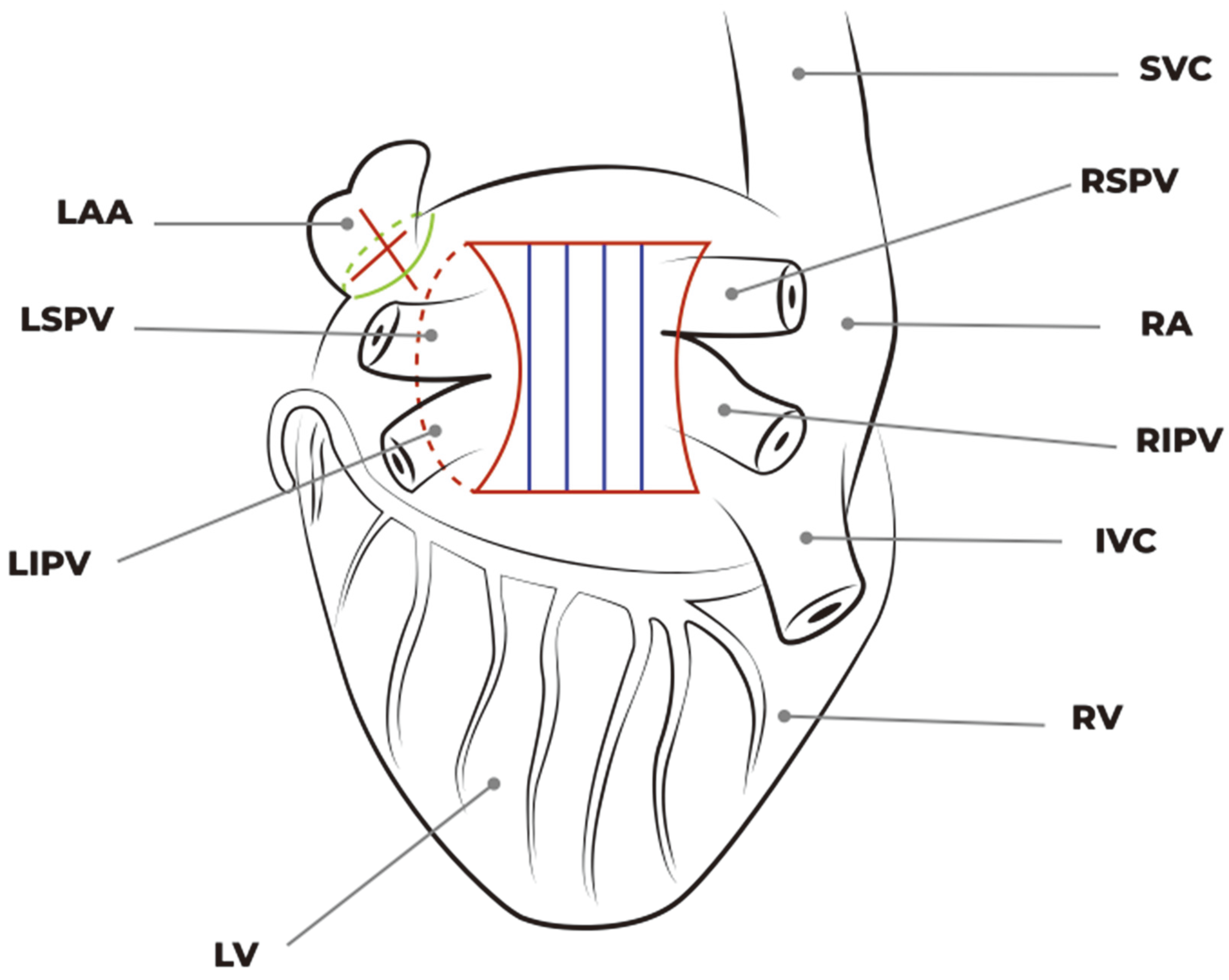 Jcm 13 01563 g008 Jcm 13 01563 g008