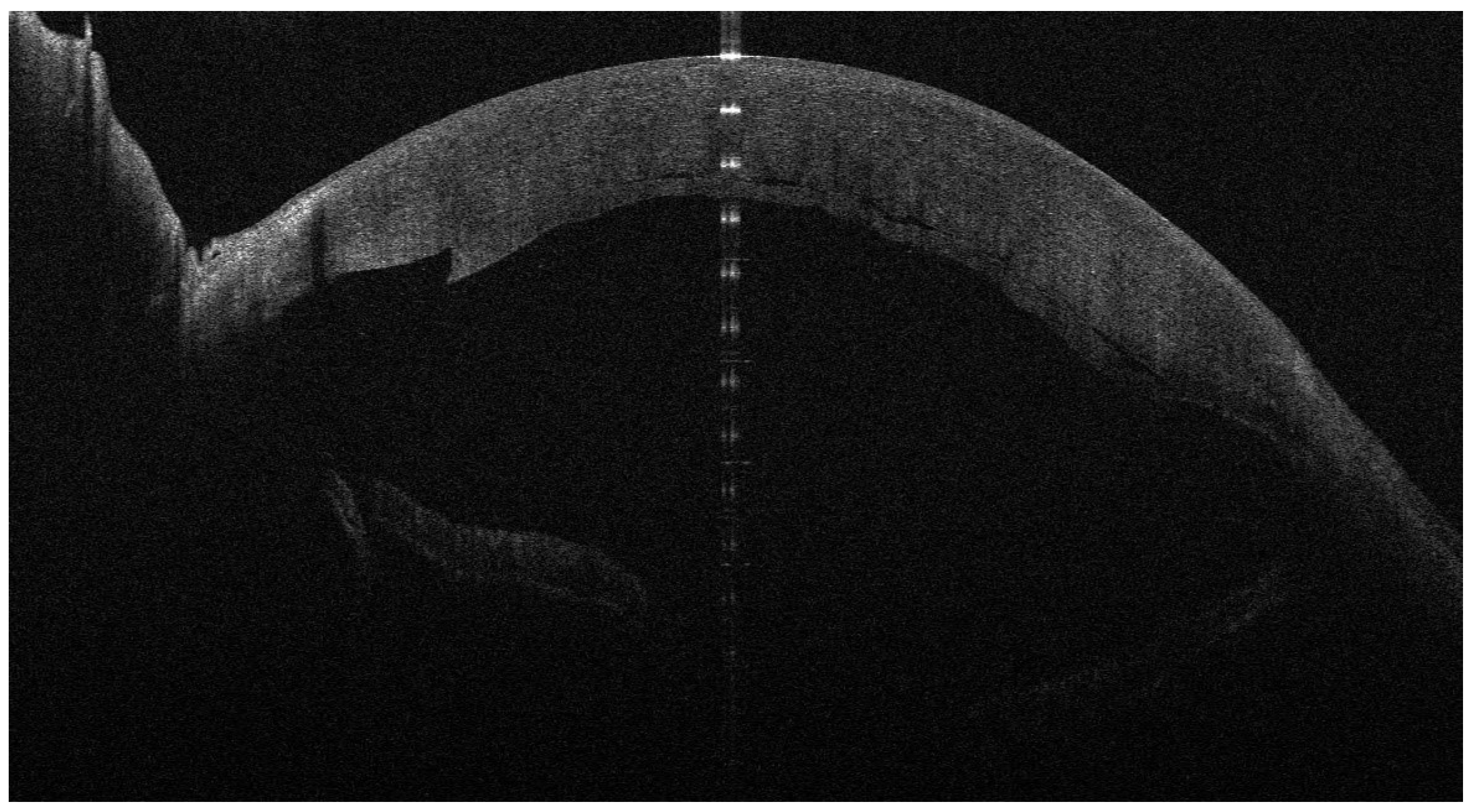 Jcm 13 01593 g001 Jcm 13 01593 g001