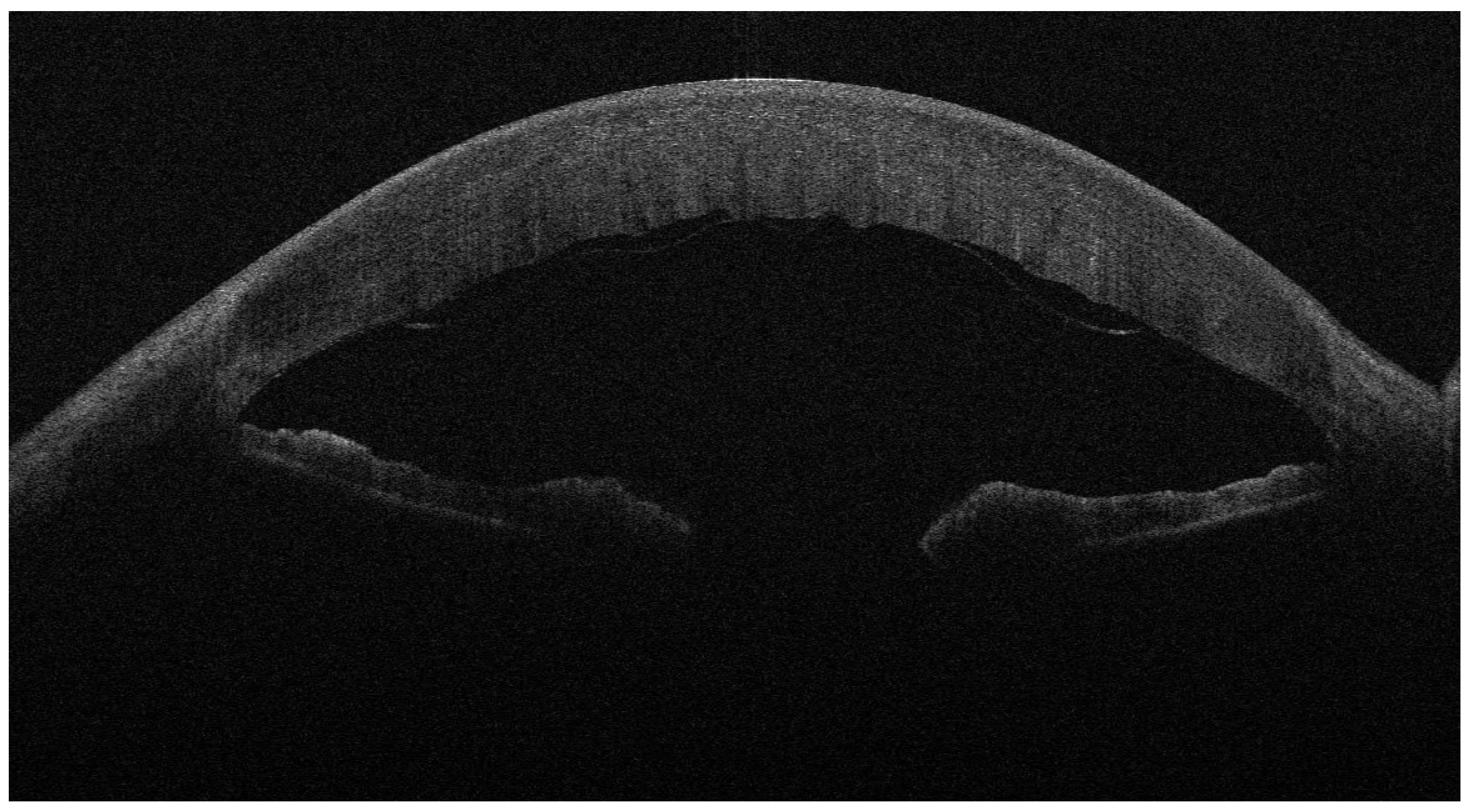 Jcm 13 01593 g004 Jcm 13 01593 g004