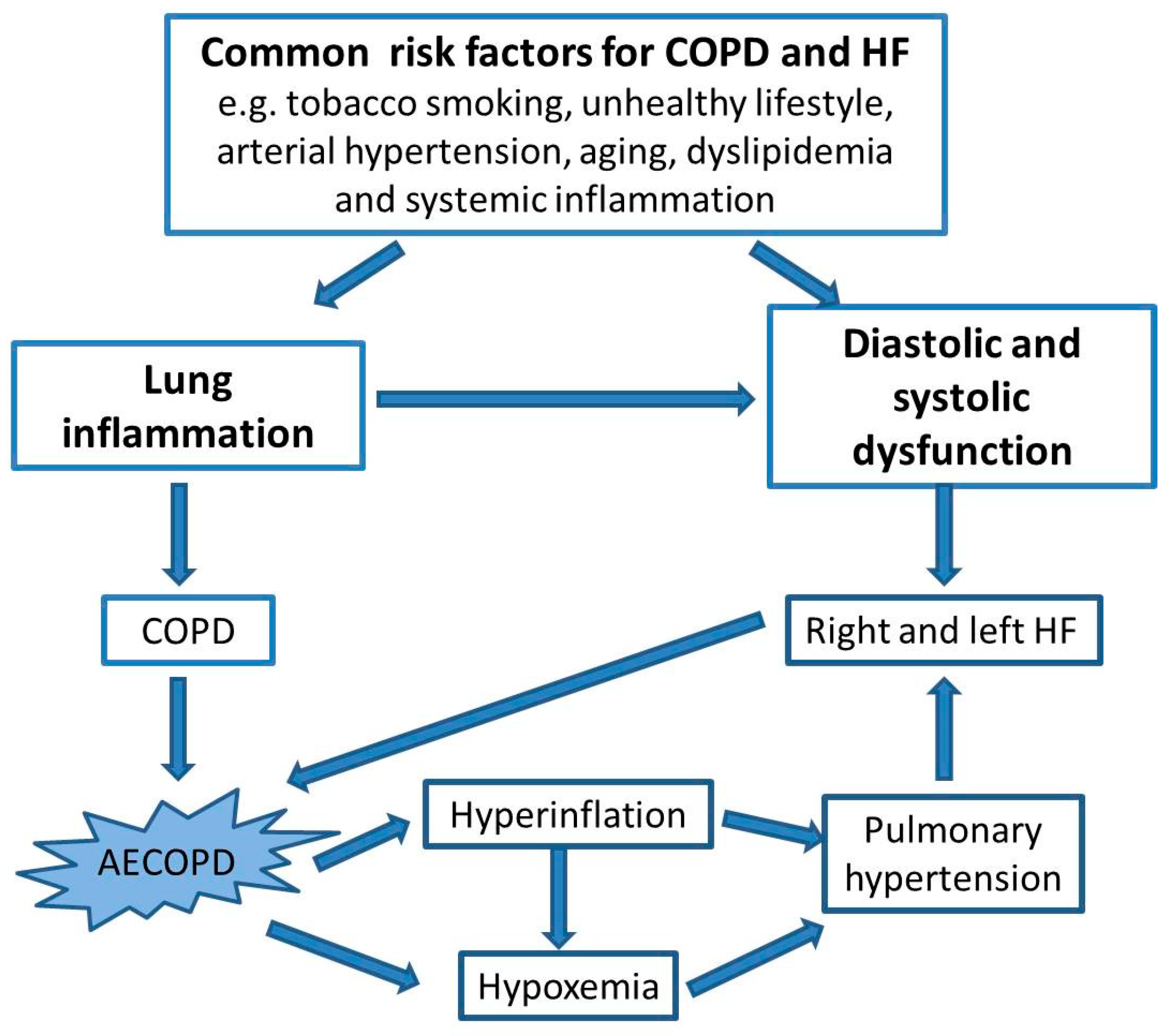 Implementation of the Care Bundle for the Management of Chronic 