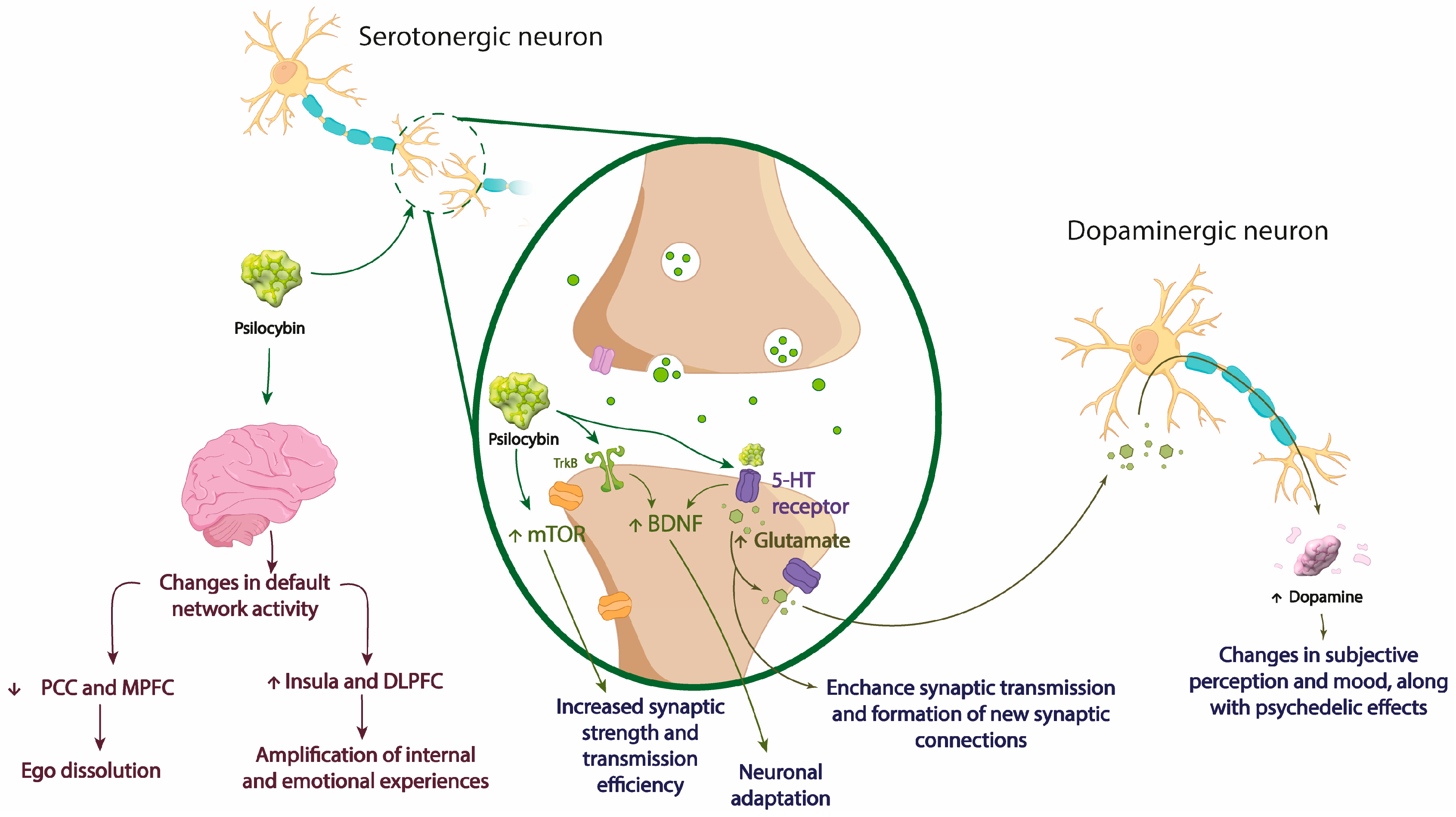 Jcm 13 01727 g003 Jcm 13 01727 g003