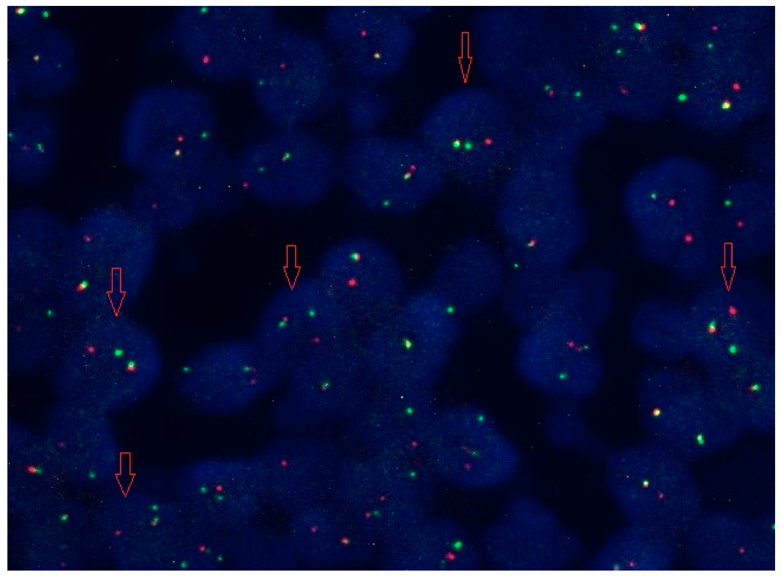 Jcm 13 01816 g002 Jcm 13 01816 g002