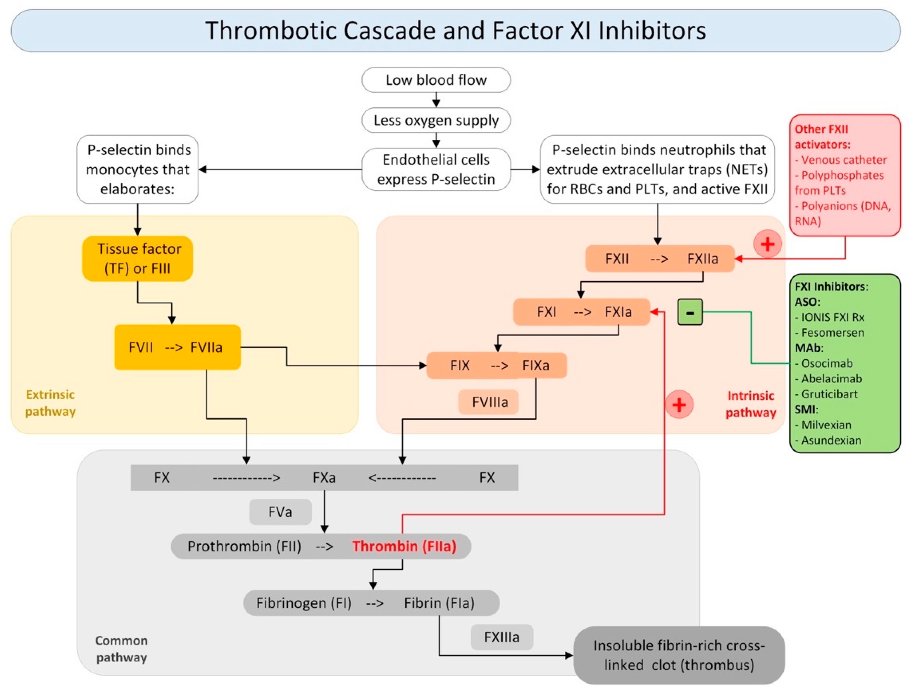 Jcm 13 01952 g001 Jcm 13 01952 g001