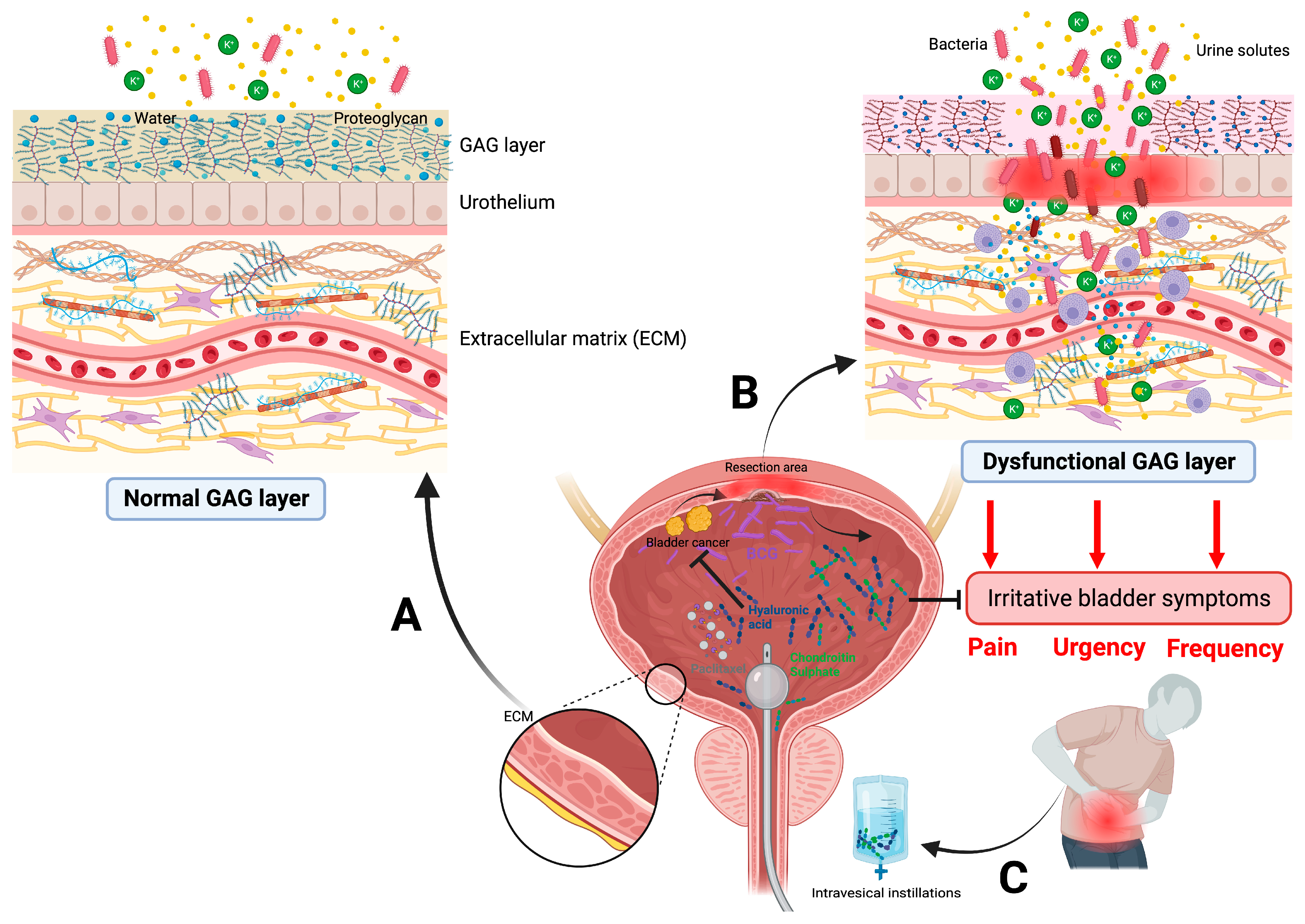 Jcm 13 02031 g002 Jcm 13 02031 g002