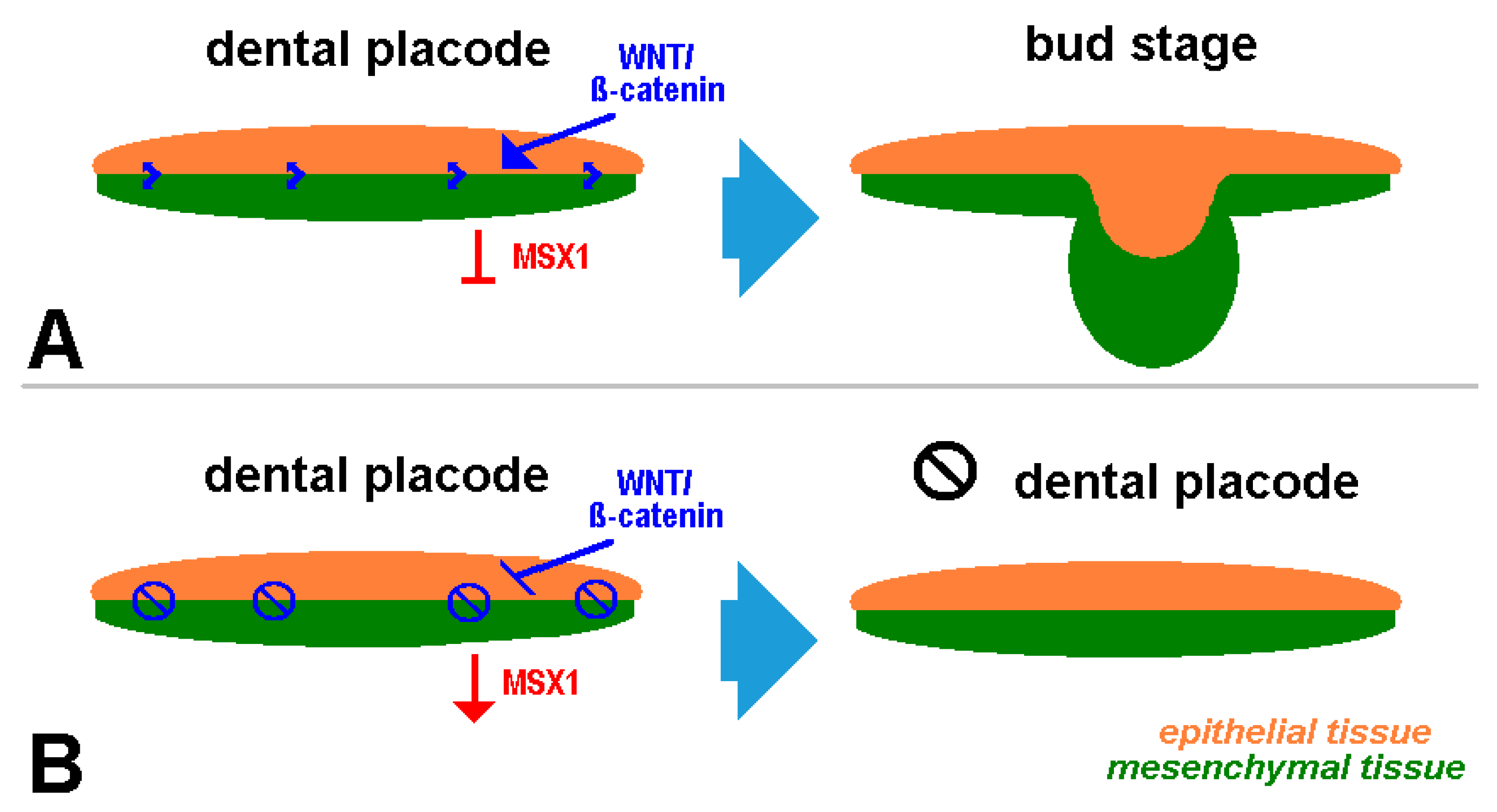 Jcm 13 02082 g001 Jcm 13 02082 g001