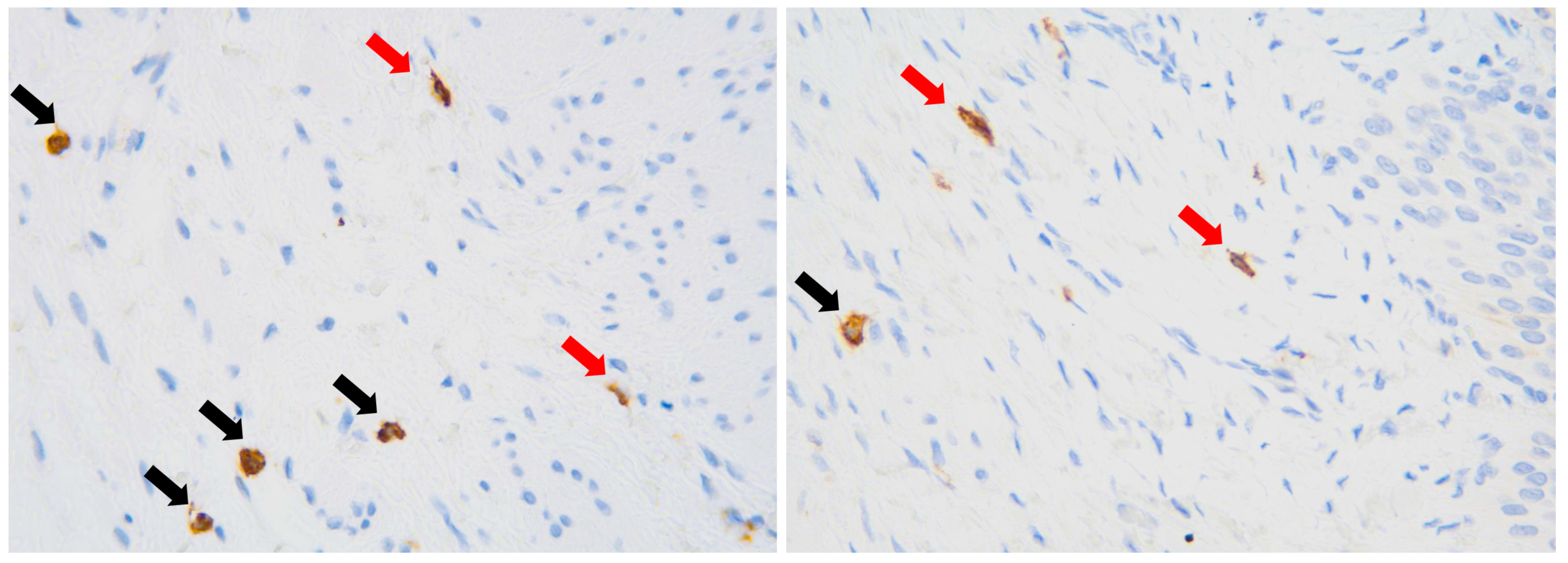 Jcm 13 02109 g001 Jcm 13 02109 g001