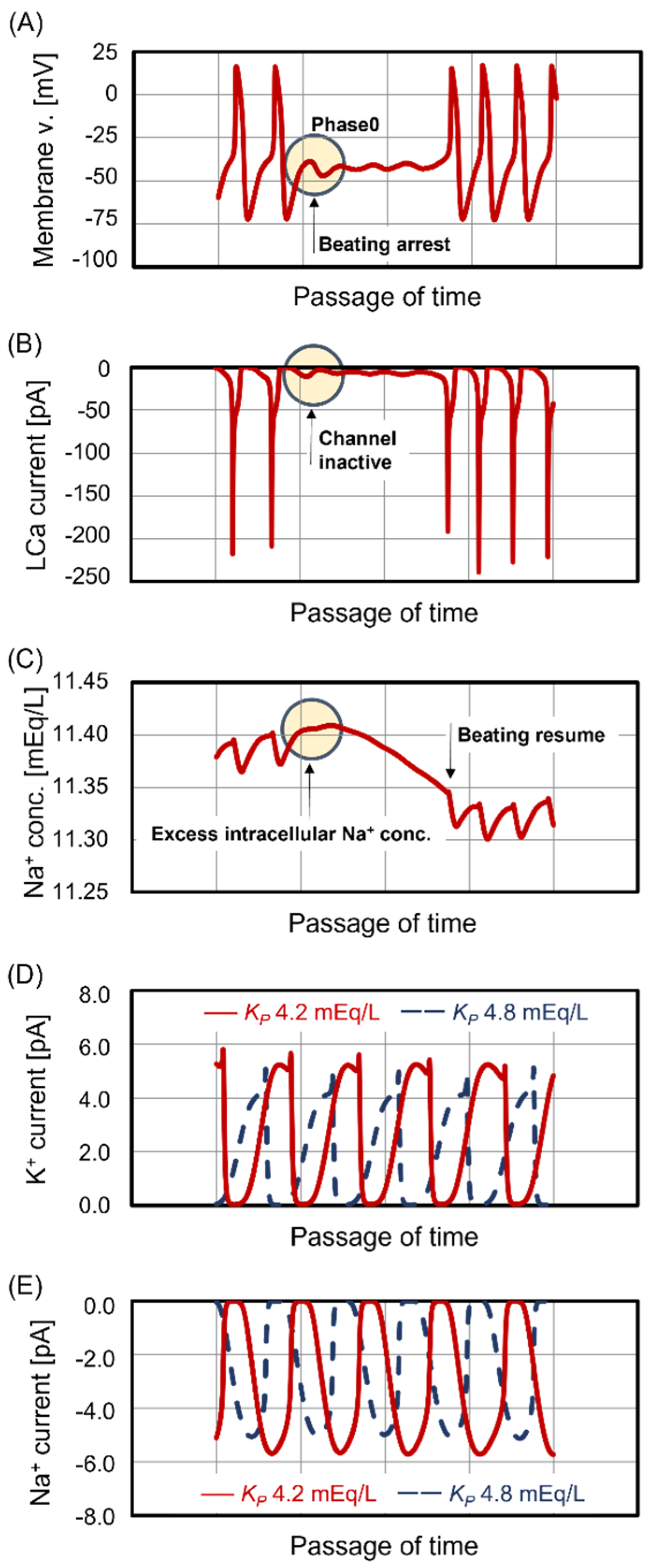 Jcm 13 02289 g004 Jcm 13 02289 g004