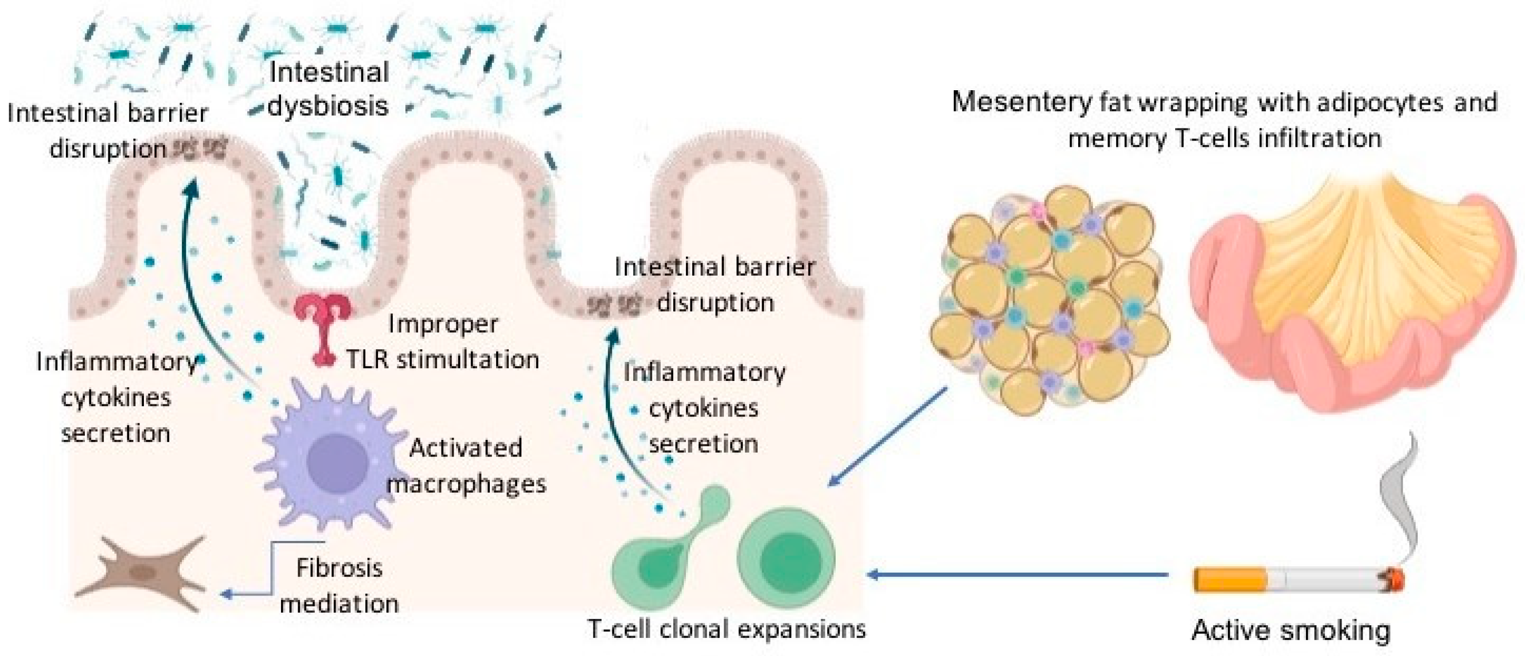 Jcm 13 02300 g001 Jcm 13 02300 g001