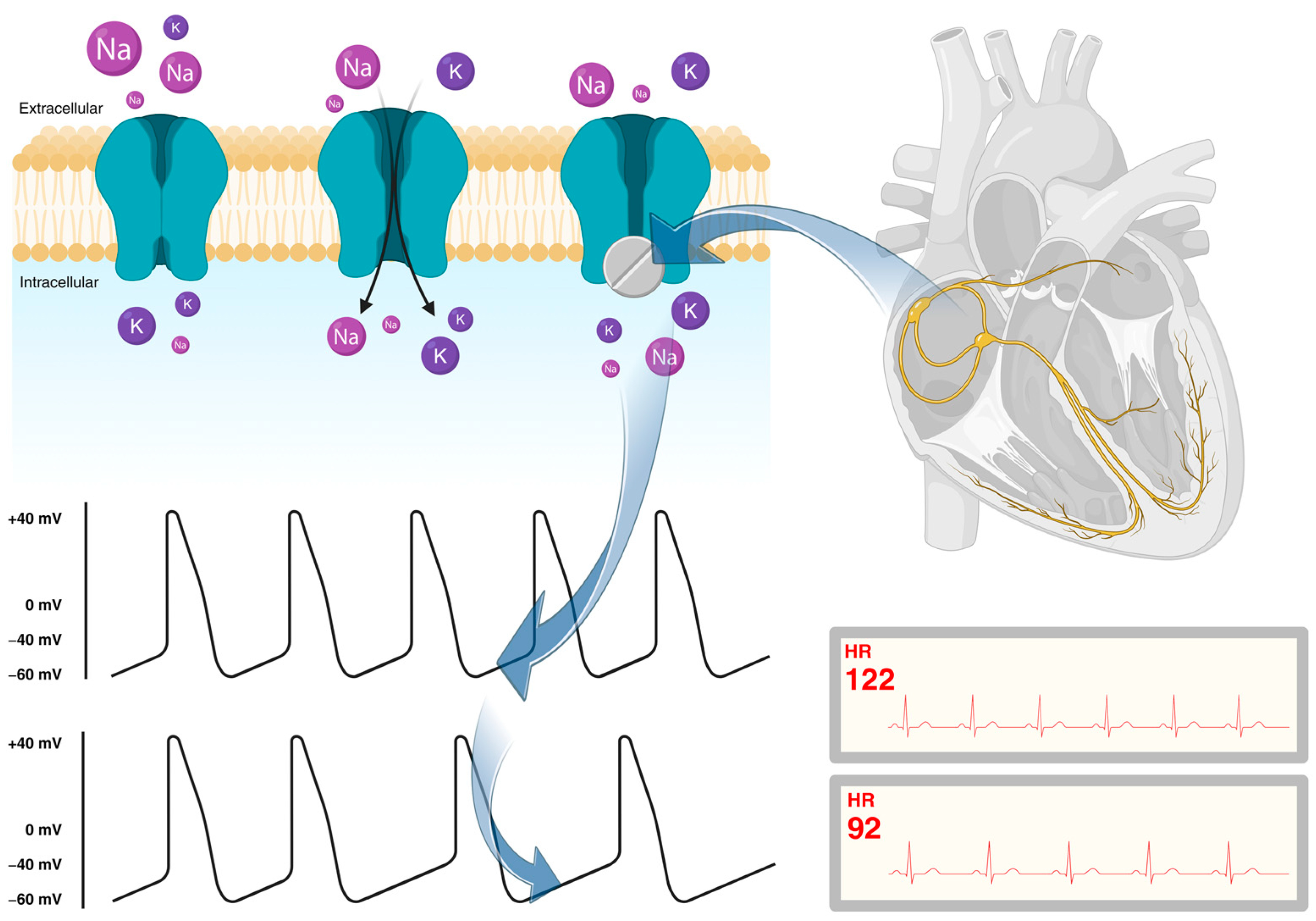 Jcm 13 02338 g001 Jcm 13 02338 g001