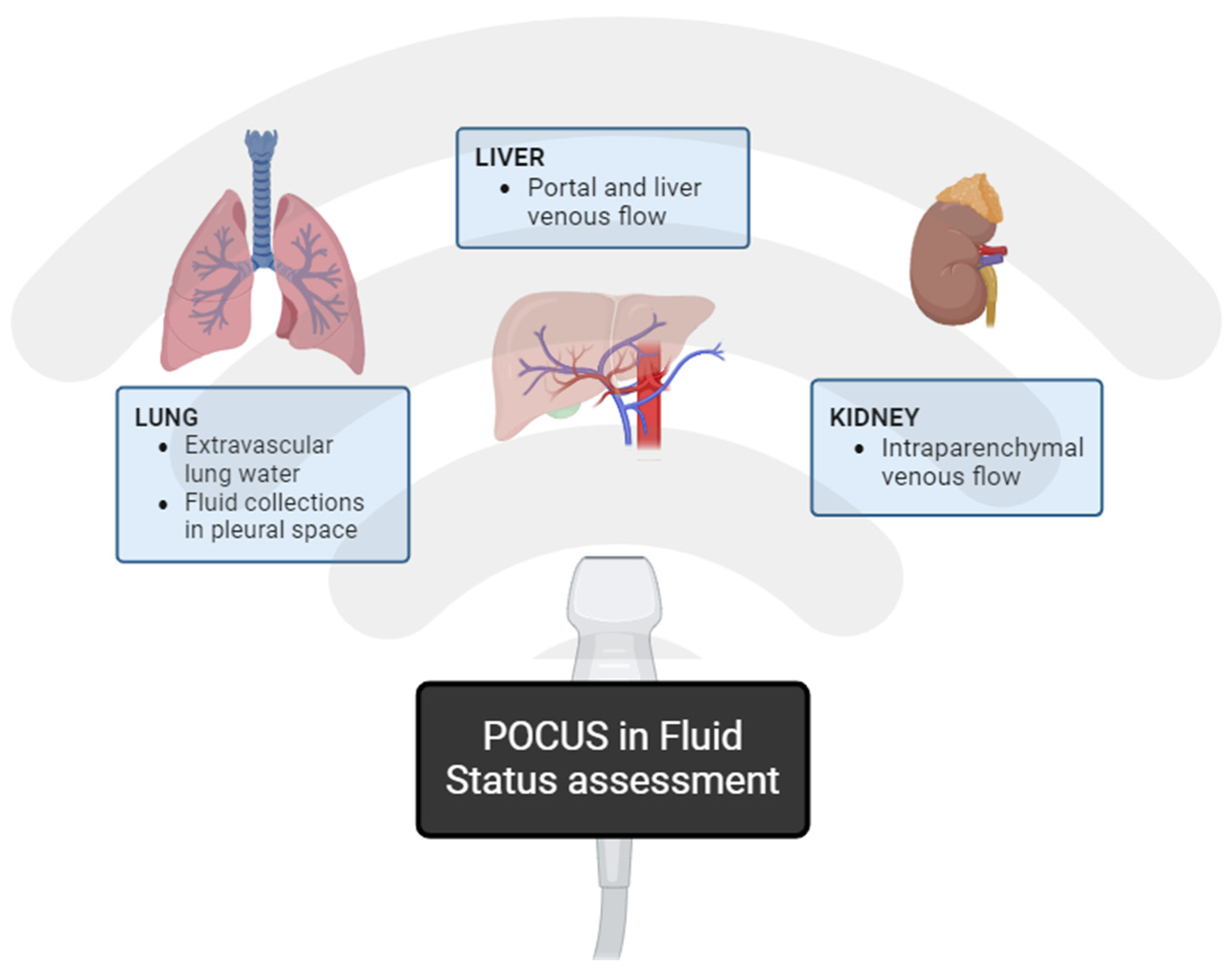 Jcm 13 02455 g001 Jcm 13 02455 g001