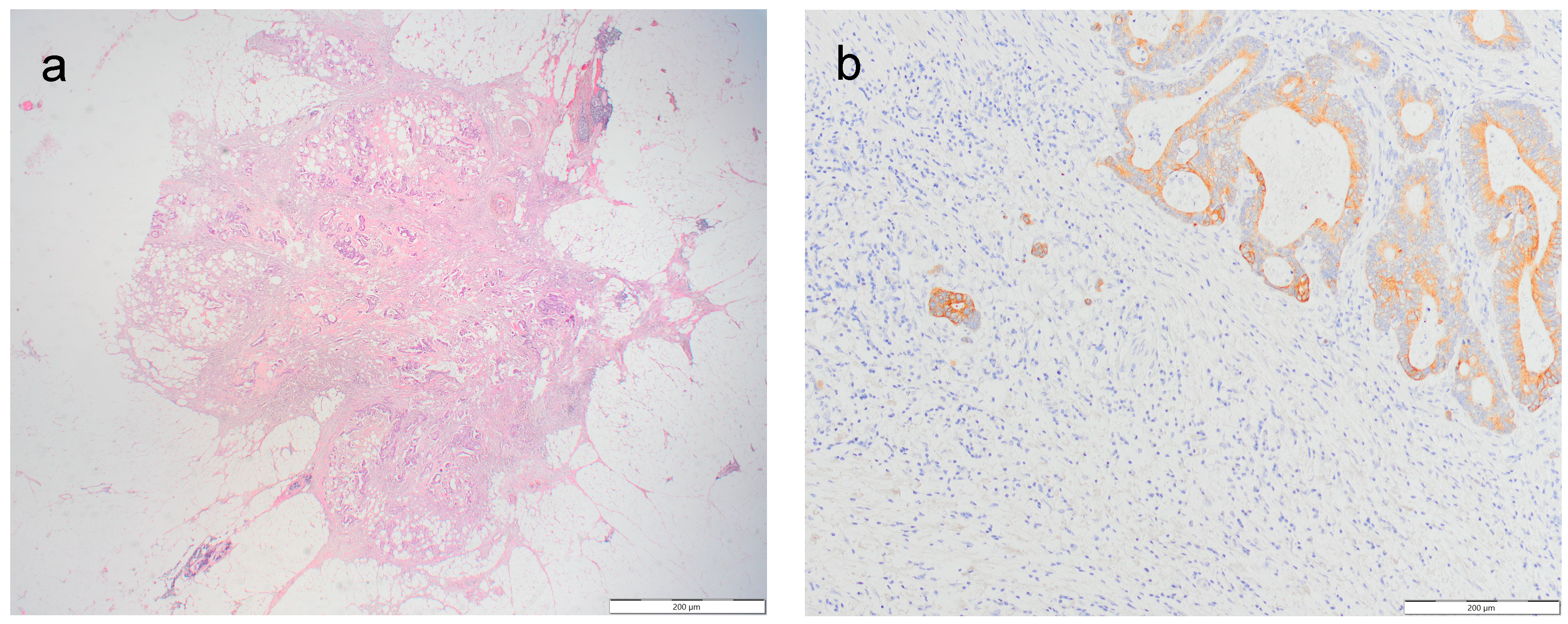 Jcm 13 02583 g001a Jcm 13 02583 g001a