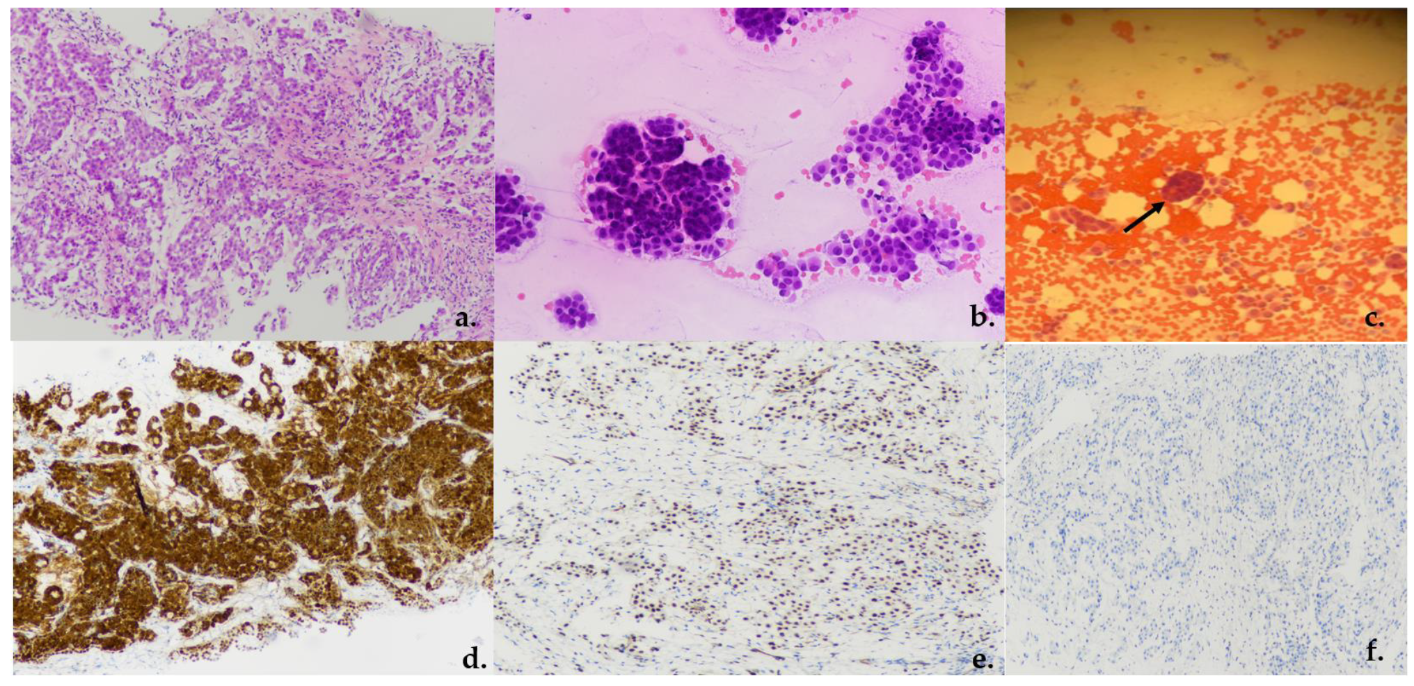 Jcm 13 02600 g003 Jcm 13 02600 g003