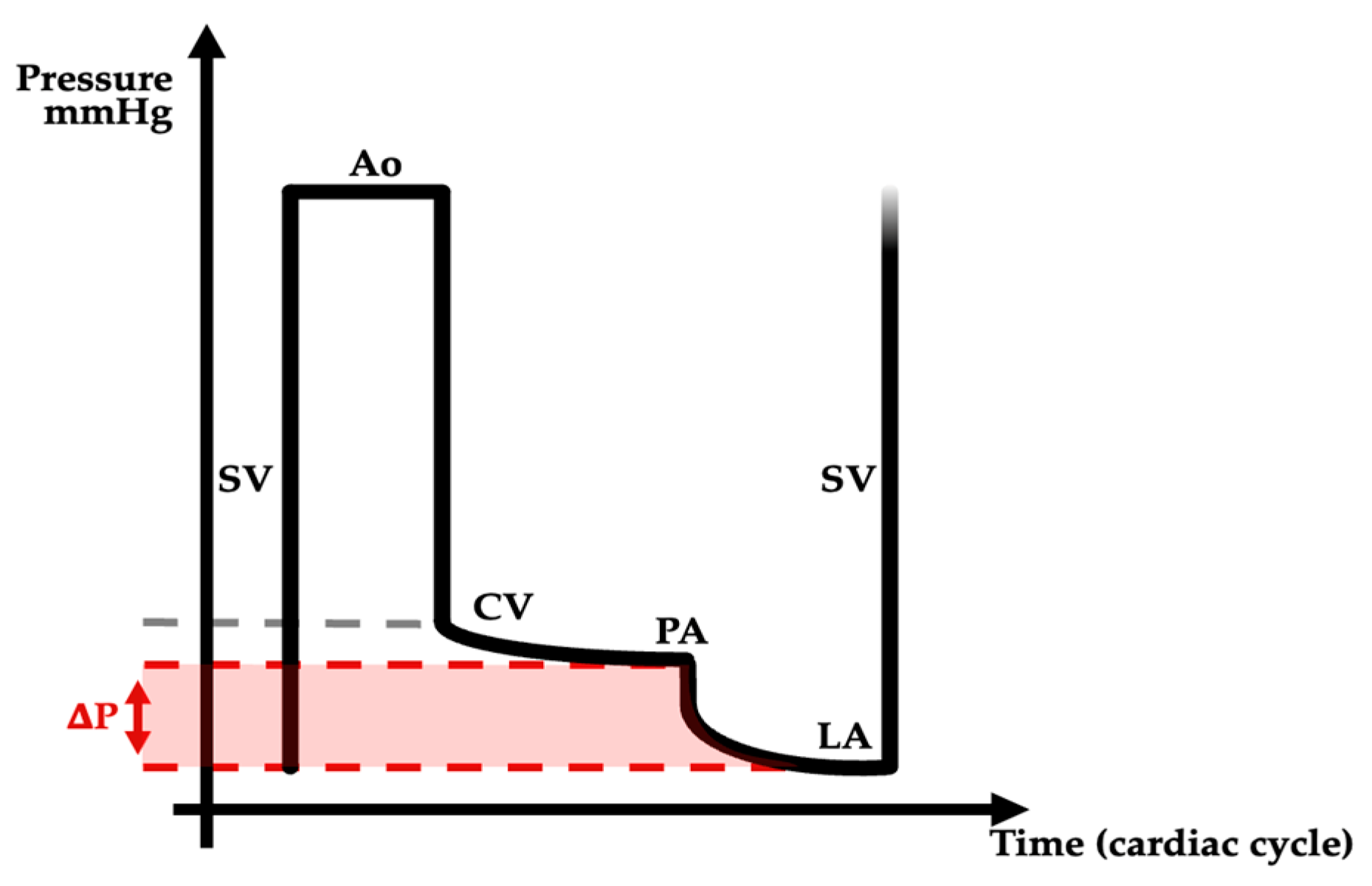 Jcm 13 02601 g005 Jcm 13 02601 g005