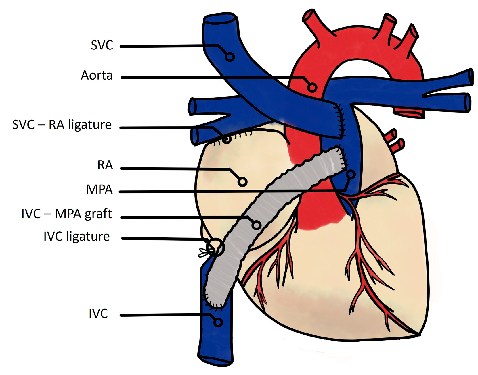 Jcm 13 02601 g006 Jcm 13 02601 g006