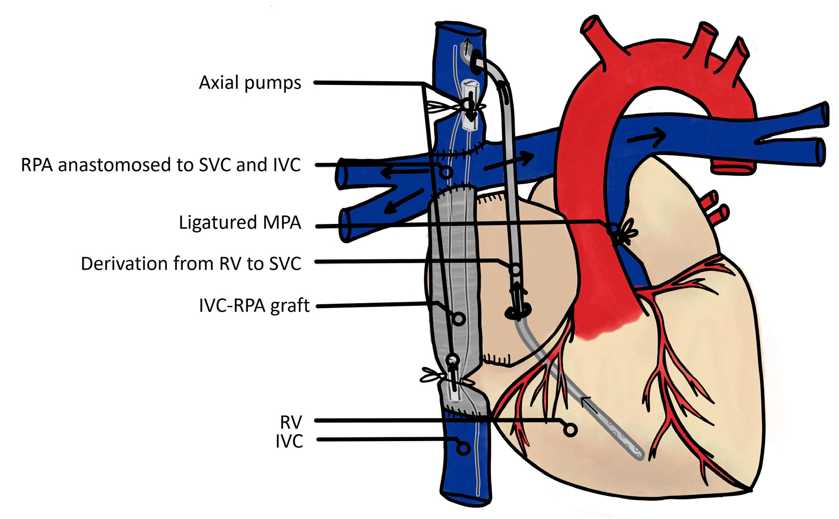 Jcm 13 02601 g007 Jcm 13 02601 g007